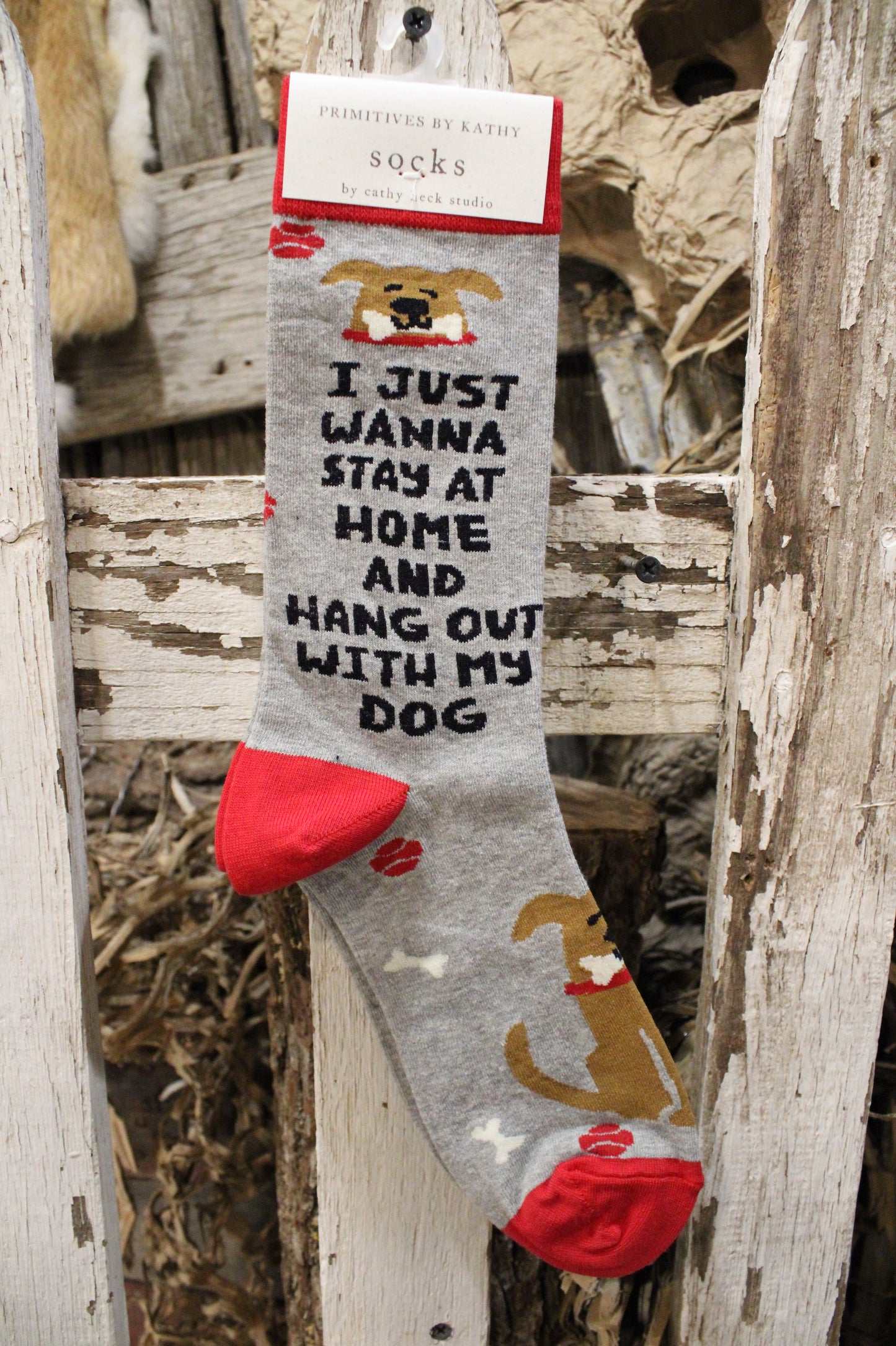 I Just Wanna Hang With My Dog Socks