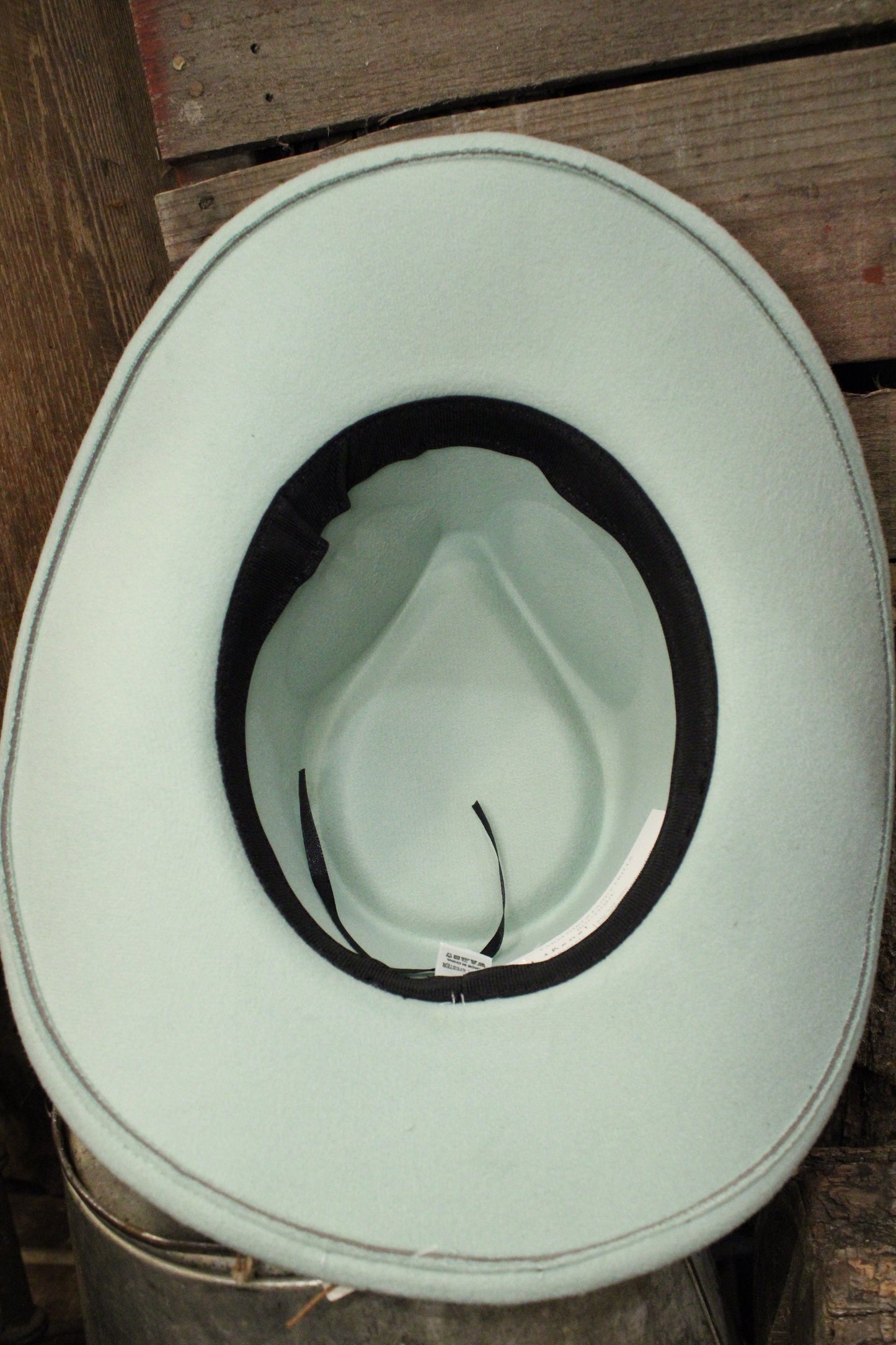 Sagebrush Cowgirl Fedora