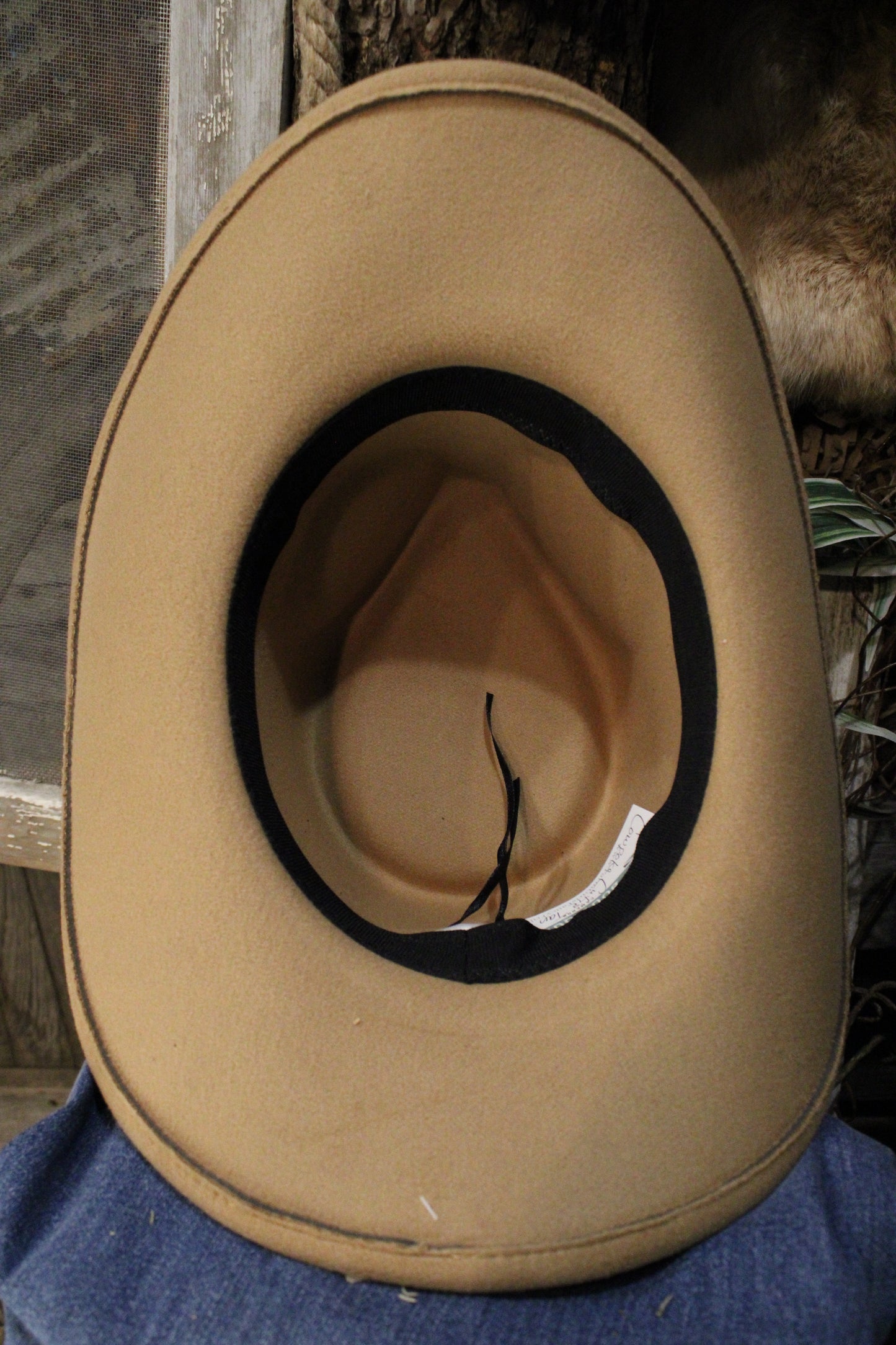 Cowpoke Cutie Tan Cowgirl Fedora