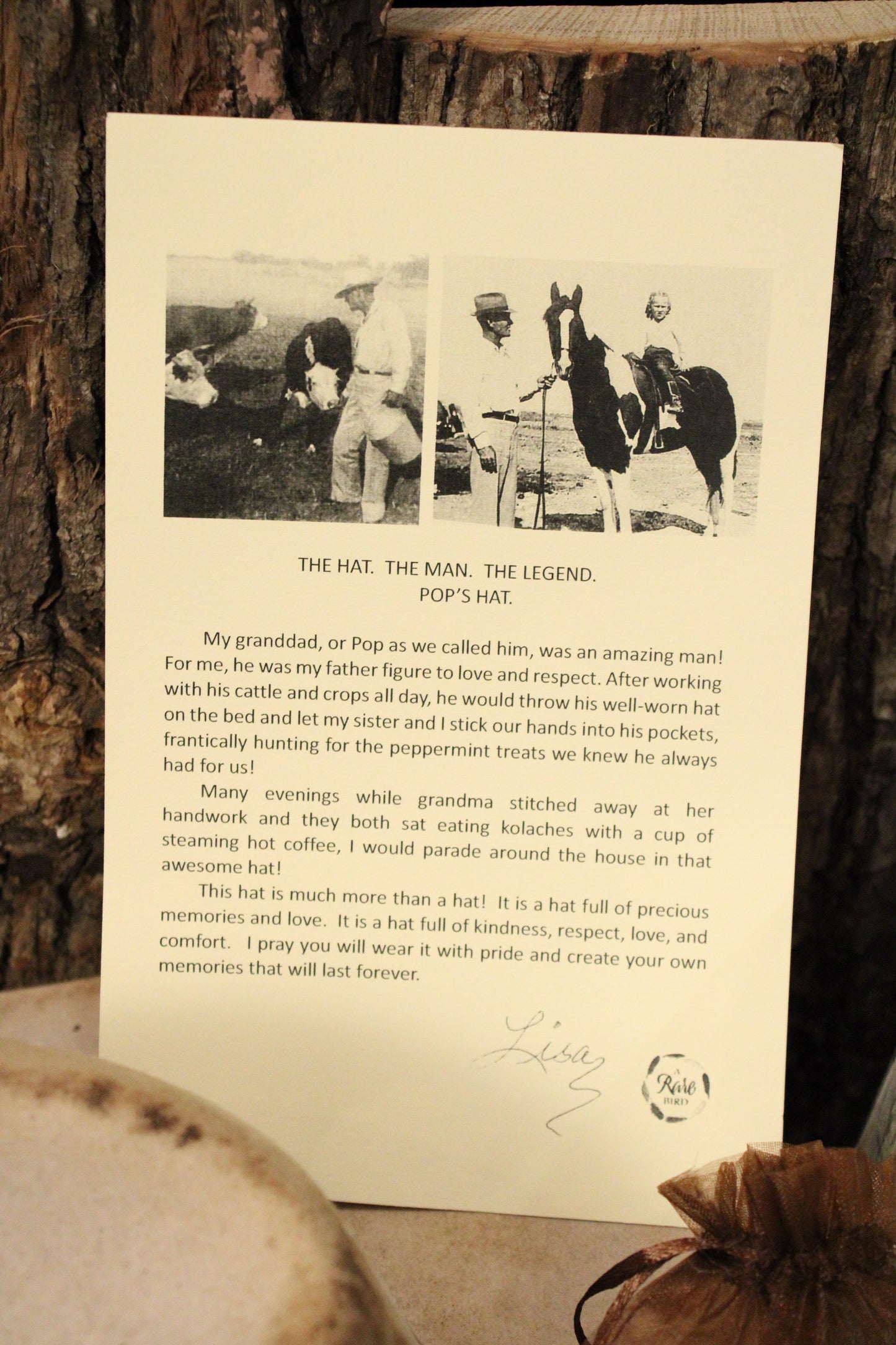 Dust And Feather Felt Fedora