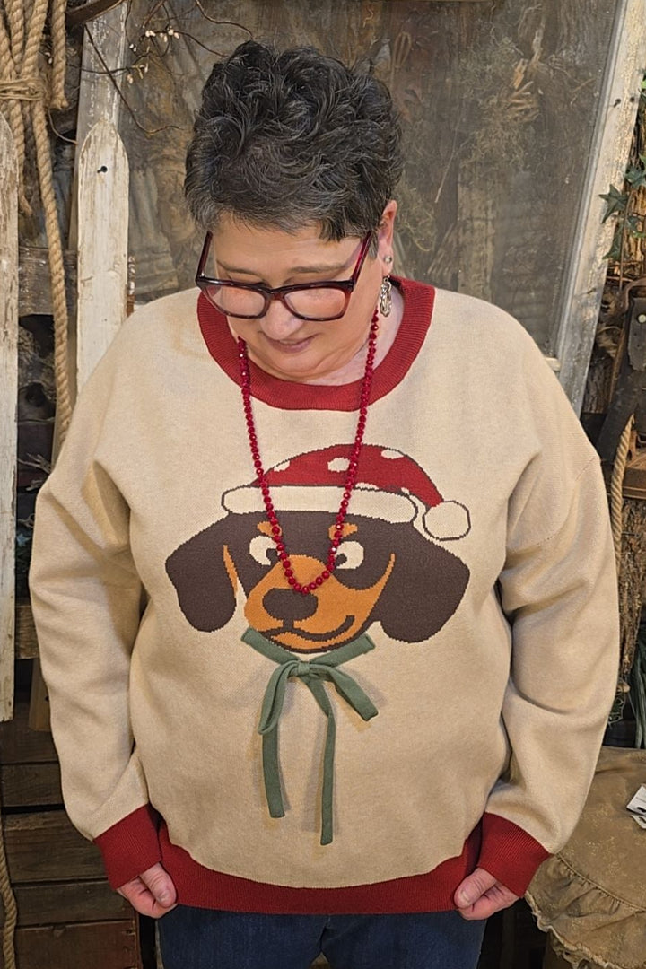 Deck the Halls with Barks &amp; Holly Sweater