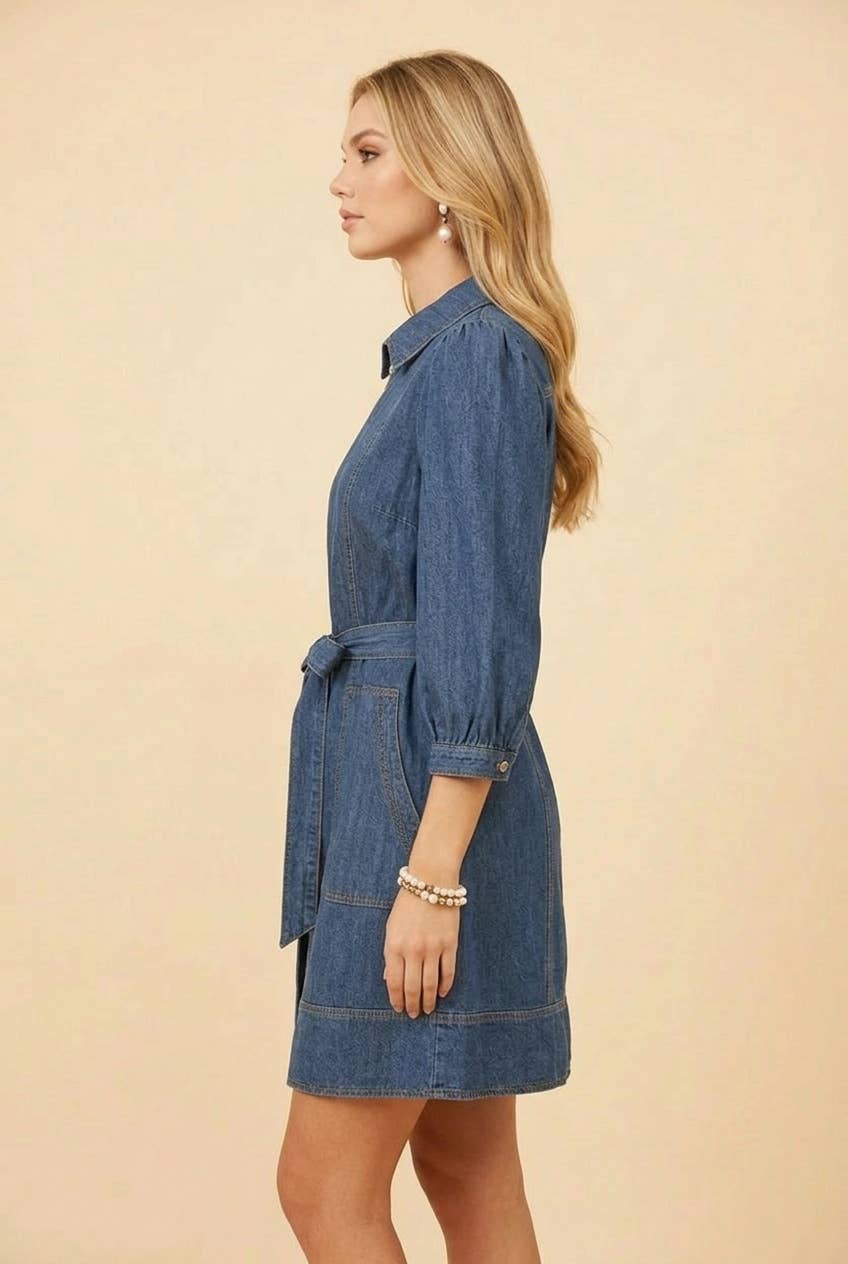 Rustling Willow Denim Dress