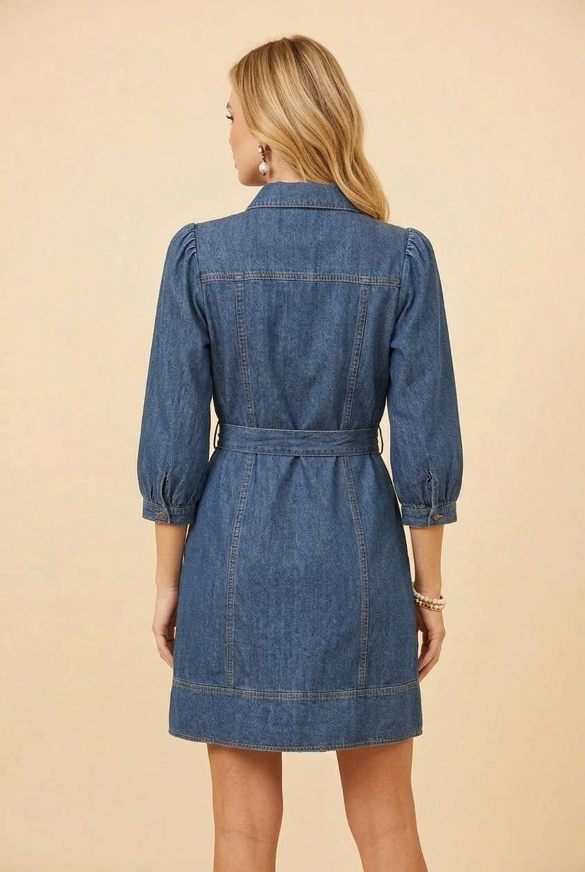 Rustling Willow Denim Dress