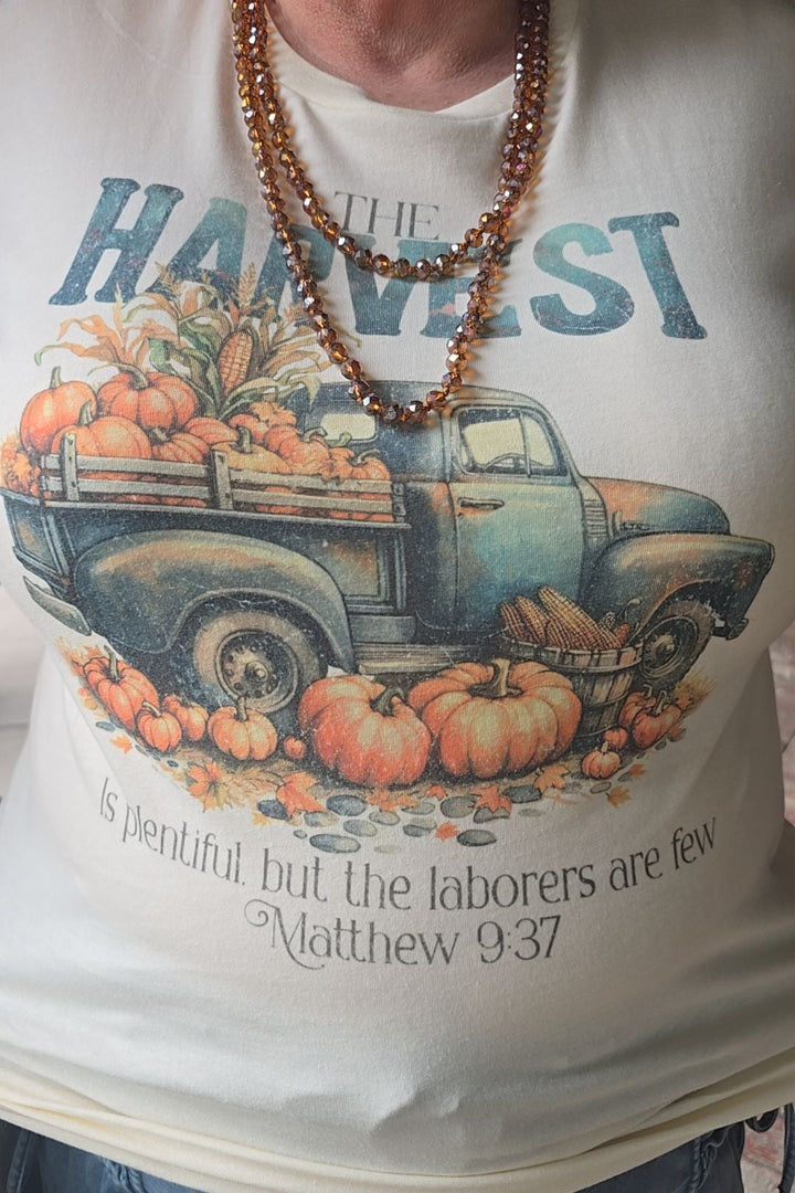 FGO Harvest Trail Pumpkin T-shirt