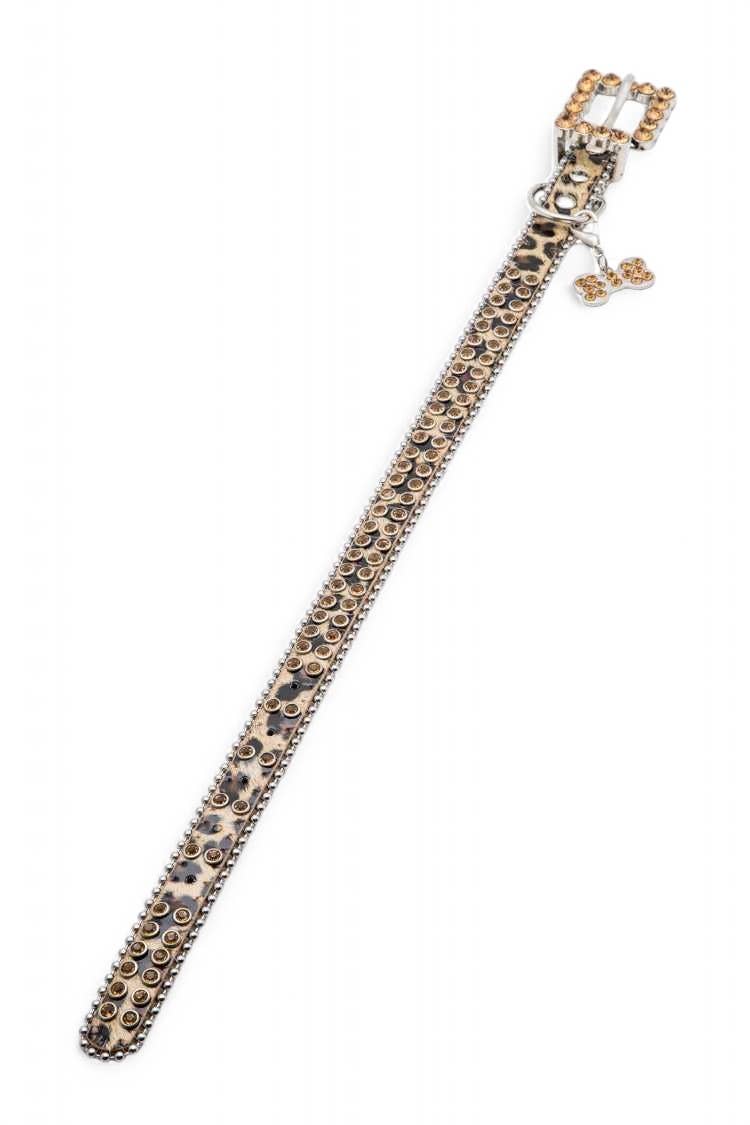 Safari Sparkle Pet Collar