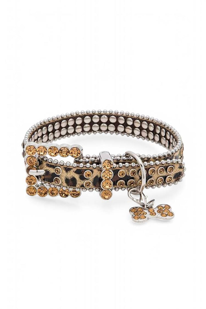 Safari Sparkle Pet Collar