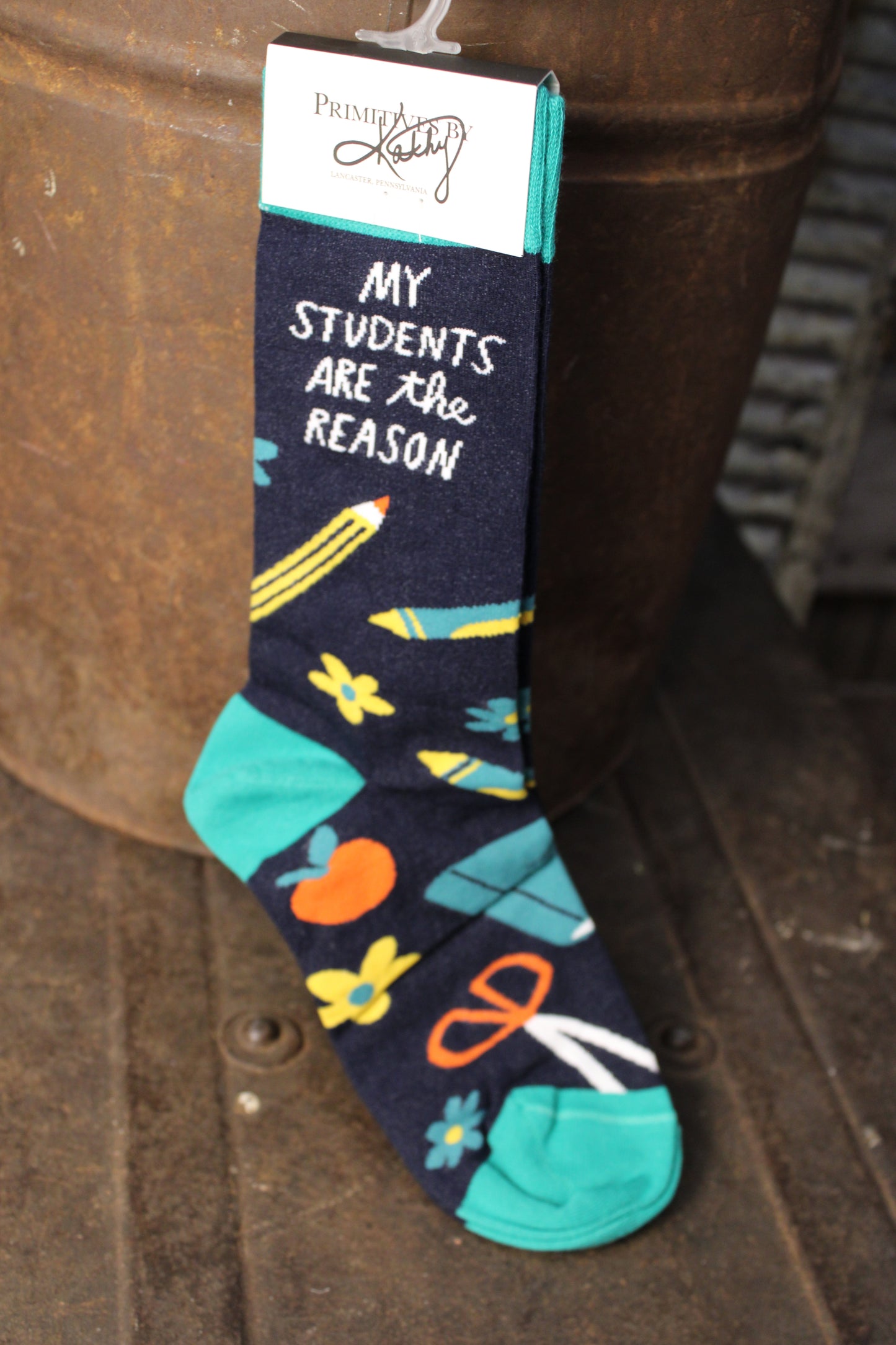 My Students Are The Reason Socks