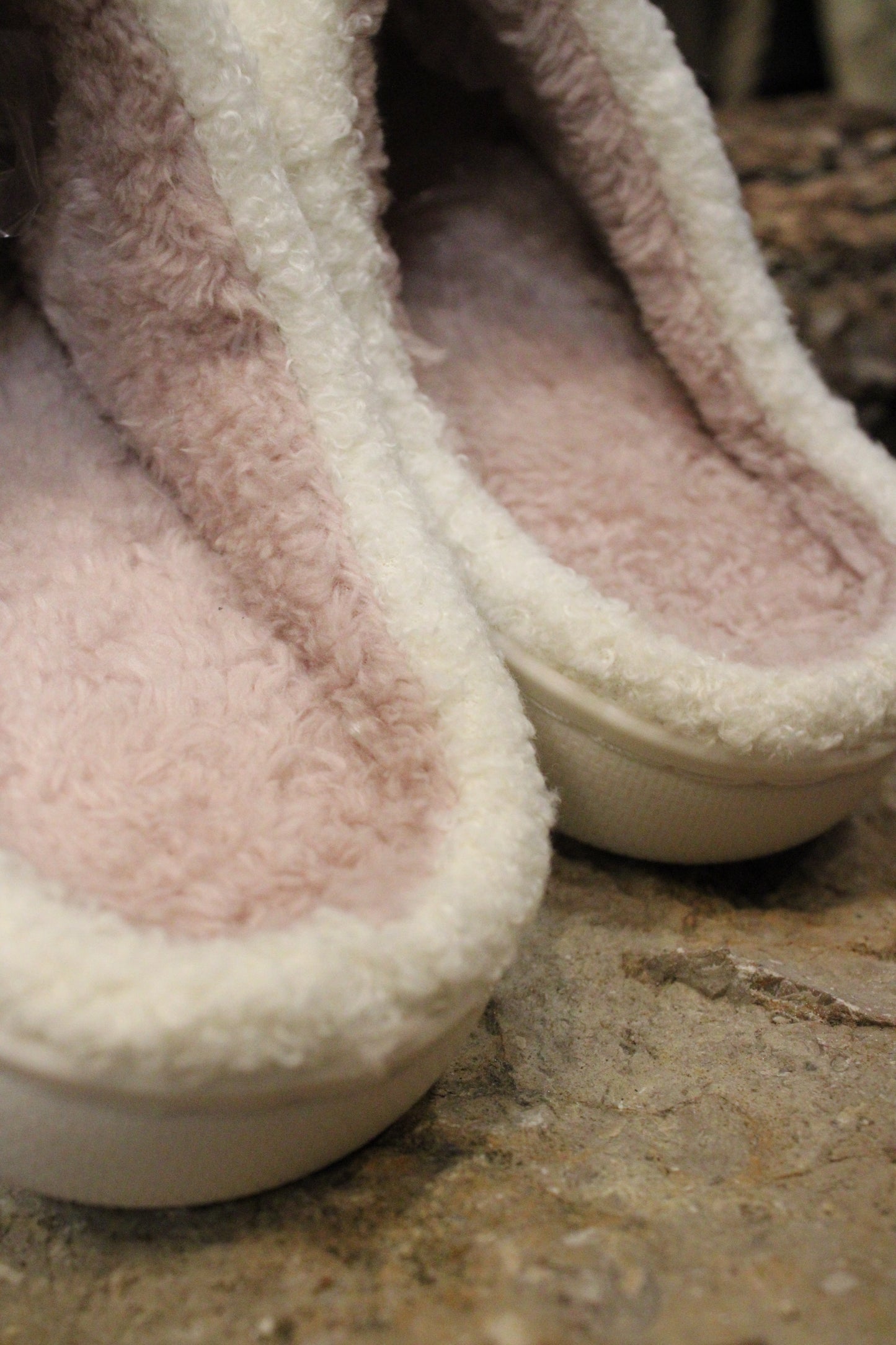 Dachshund Through The Snow Slippers