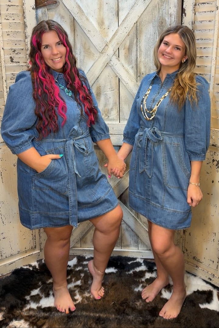 Rustling Willow Denim Dress