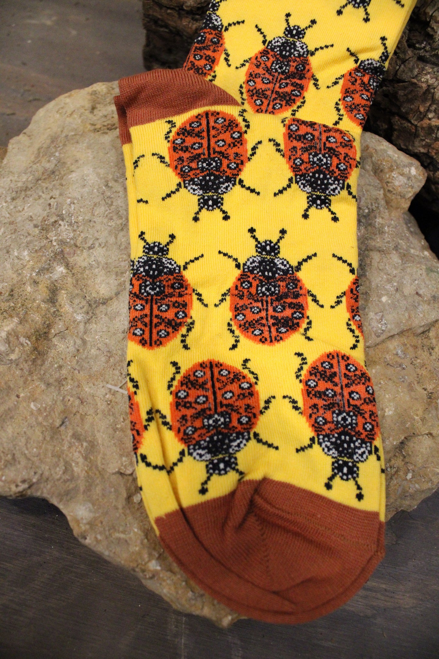 Ladybug Socks