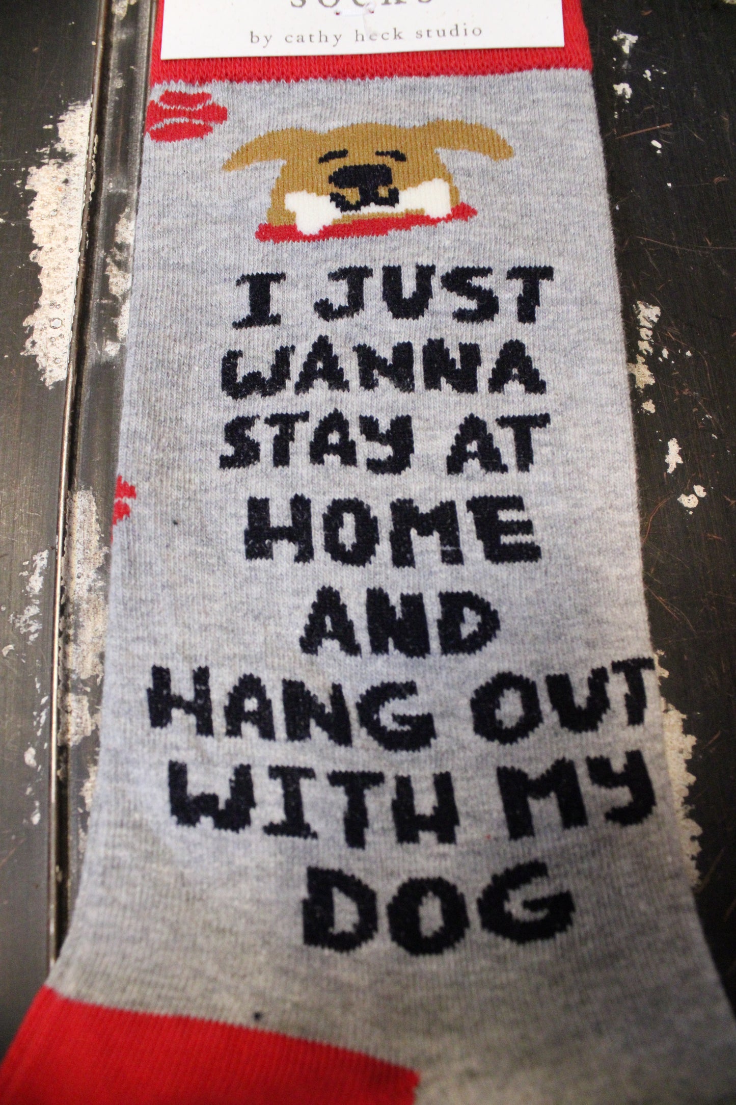 I Just Wanna Hang With My Dog Socks