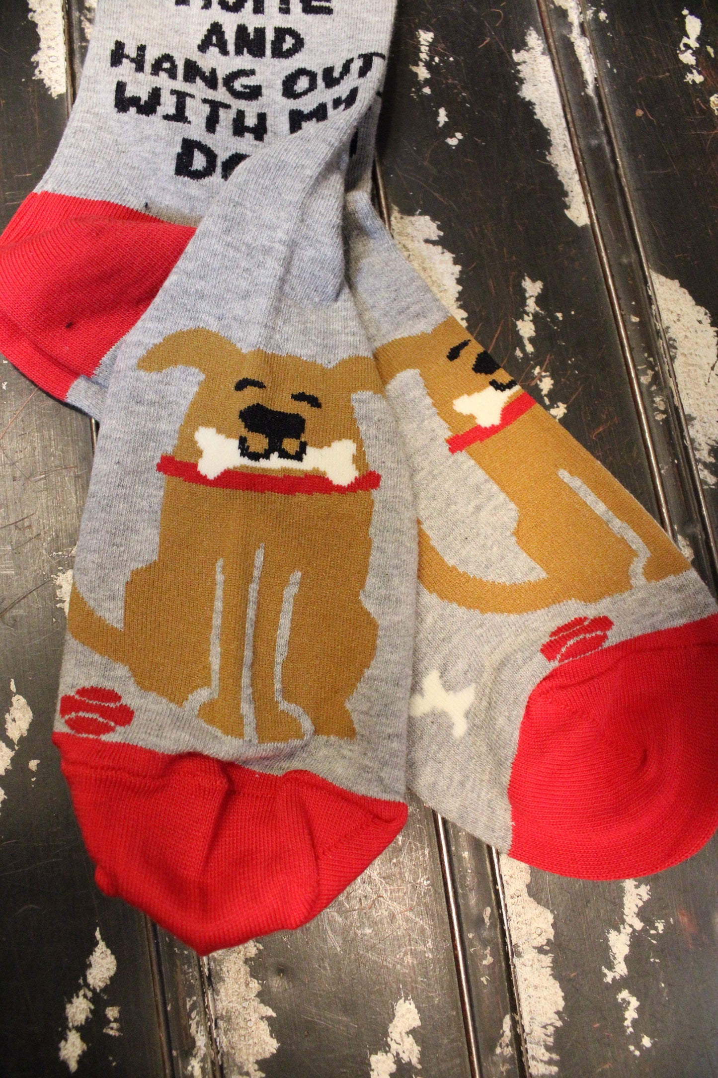 I Just Wanna Hang With My Dog Socks