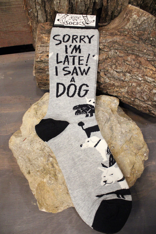 Sorry I'm Late! I Saw A Dog Socks
