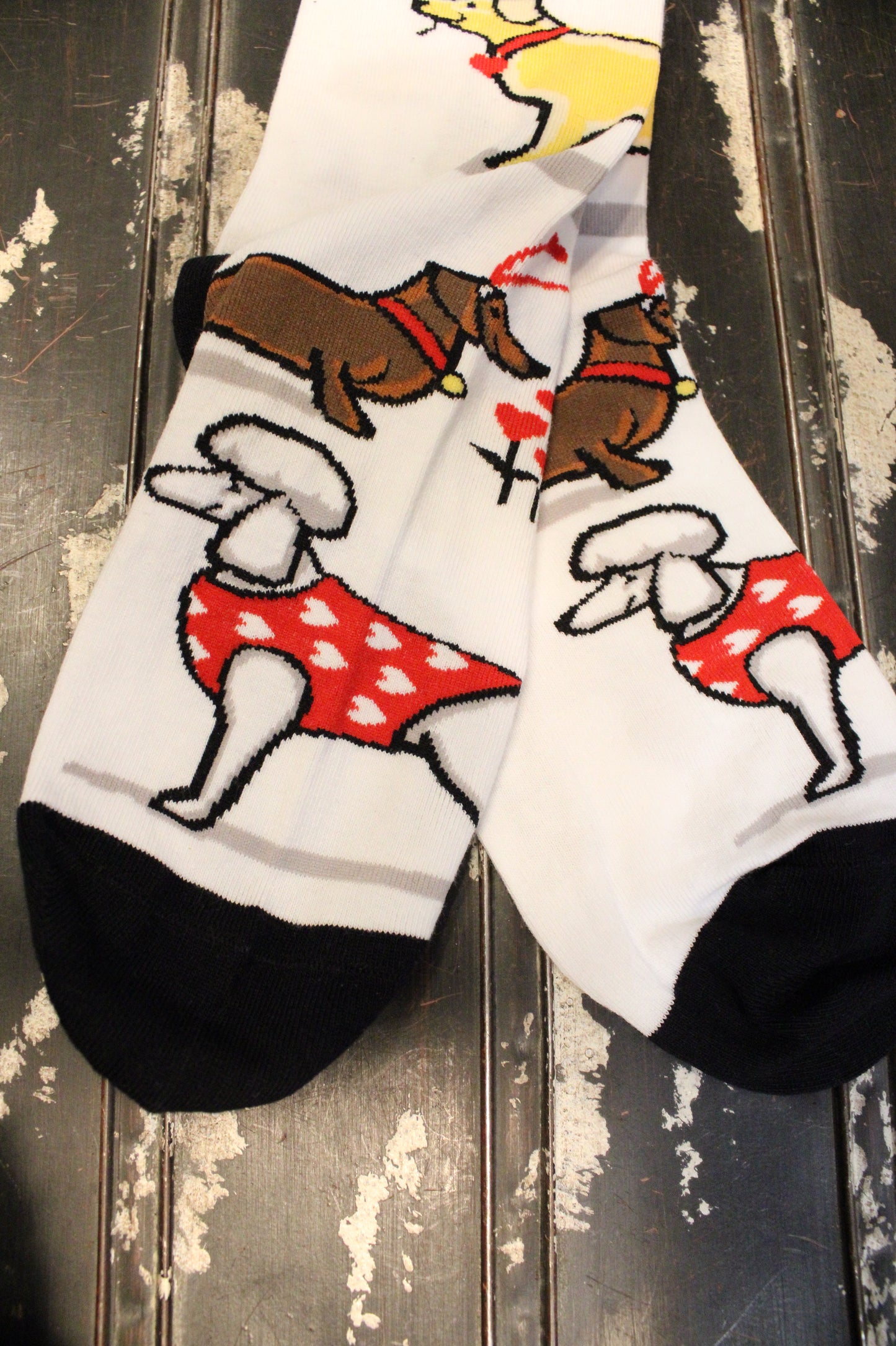 Puppy Love Socks