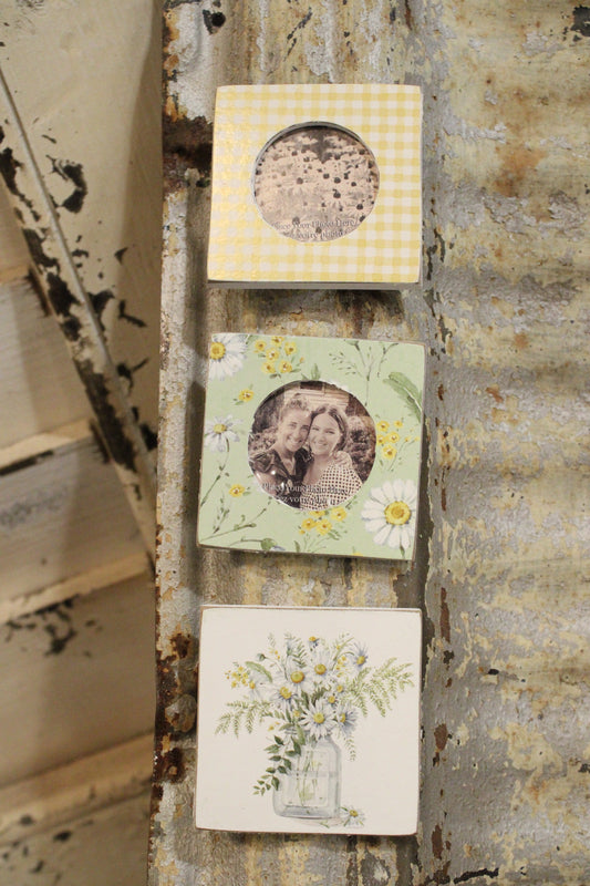 Daisy Photo Magnet Set