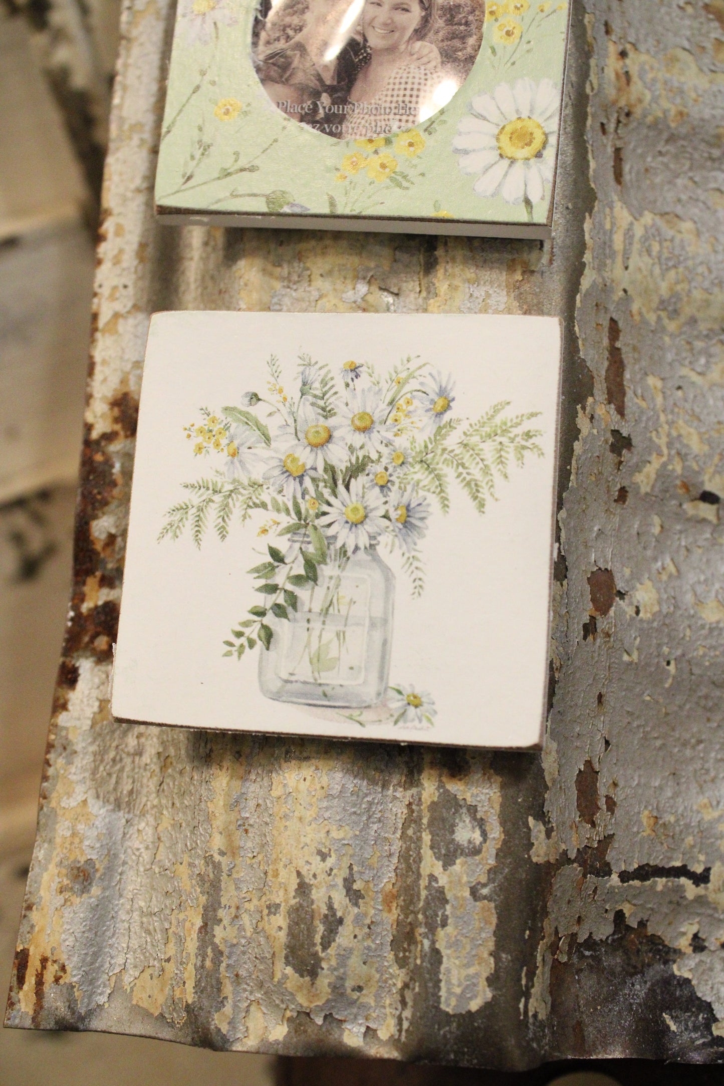 Daisy Photo Magnet Set