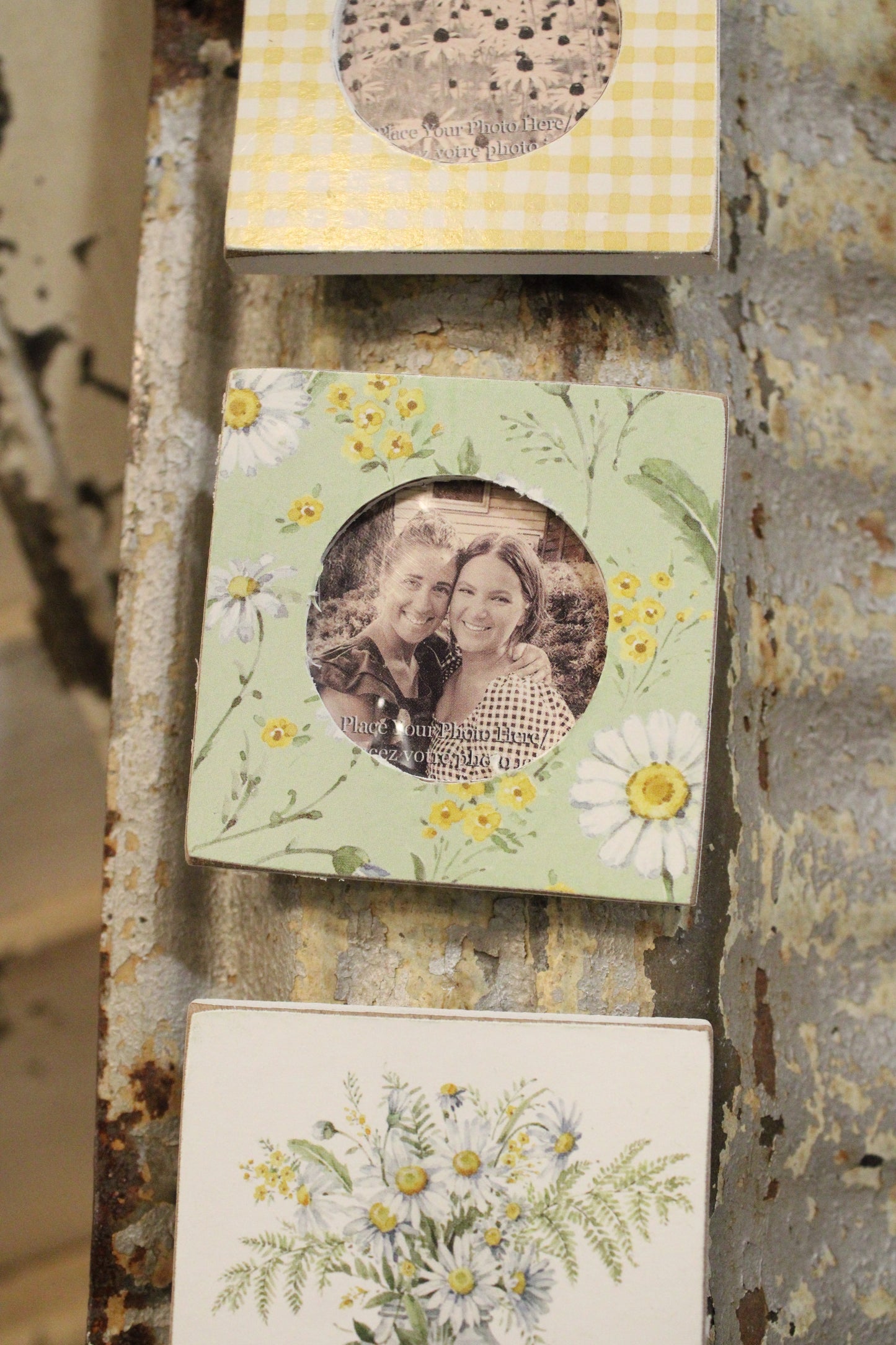 Daisy Photo Magnet Set