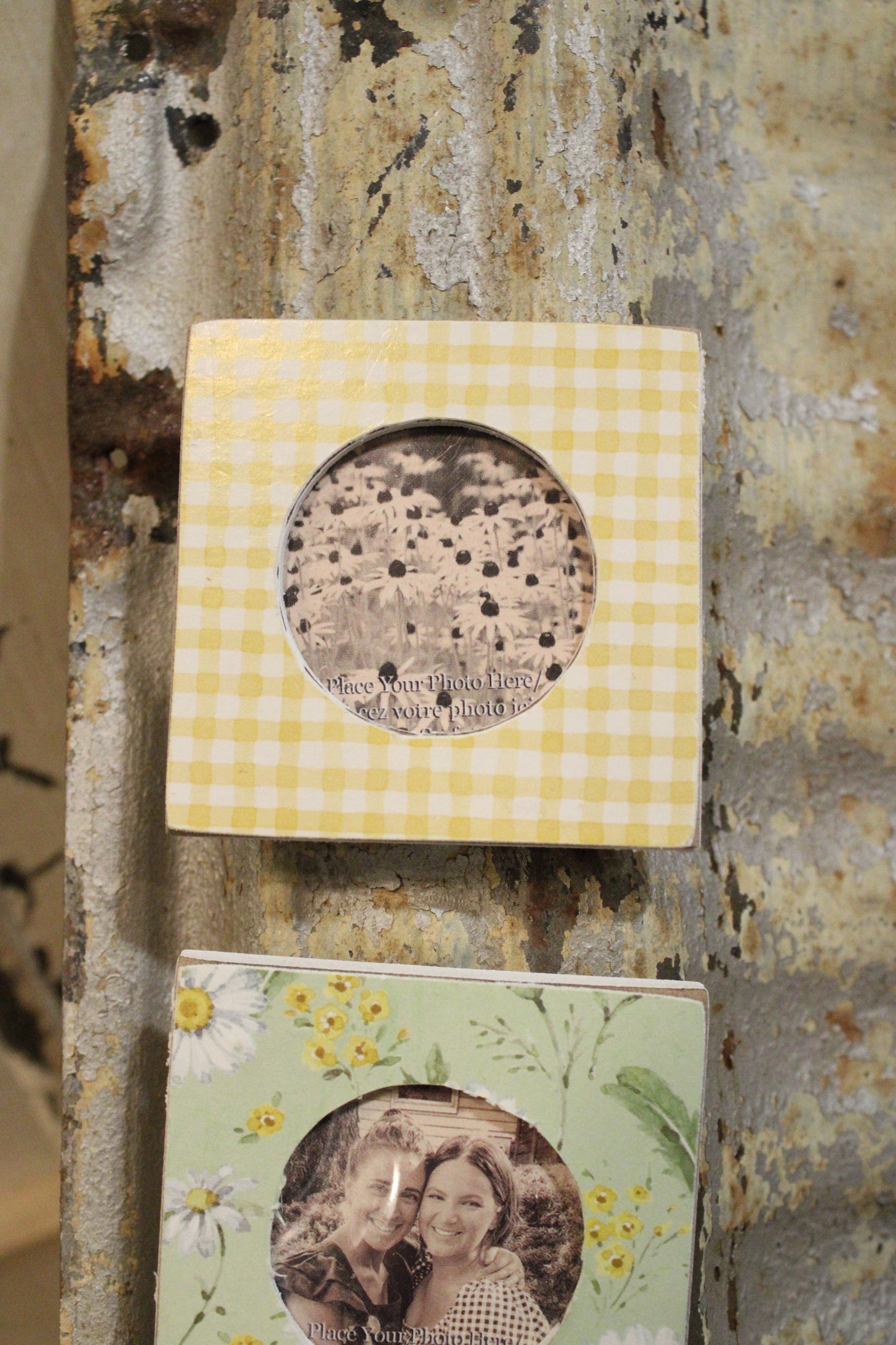 Daisy Photo Magnet Set