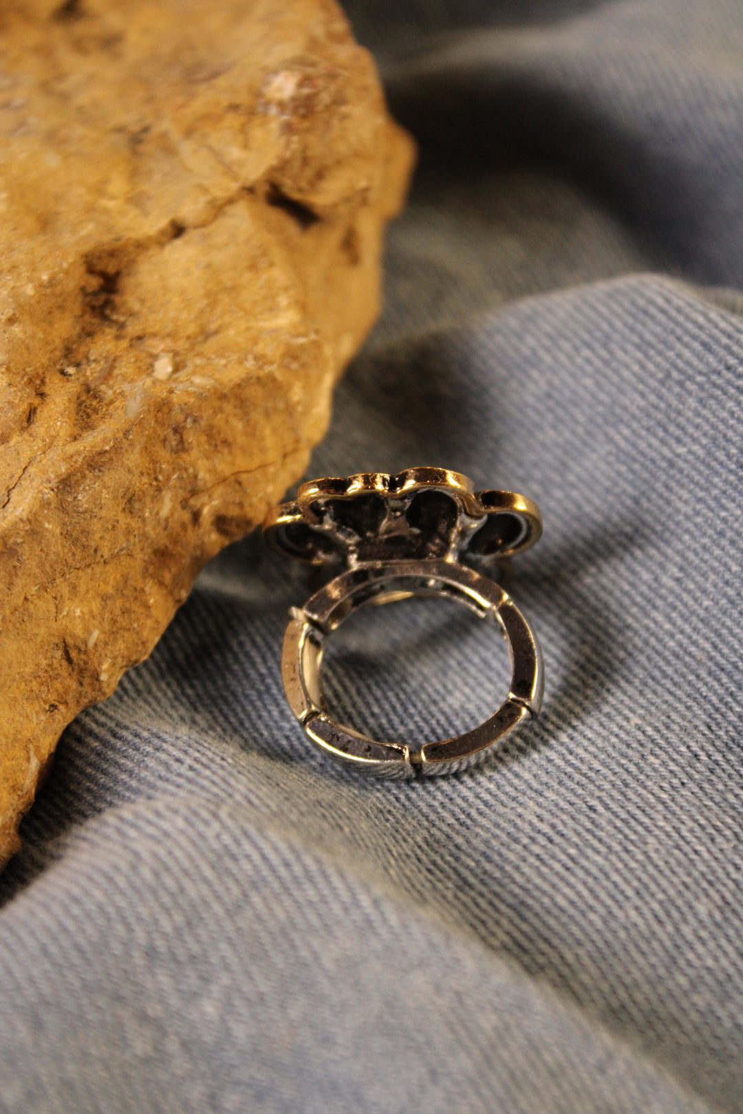 Gilded Pawprints Ring