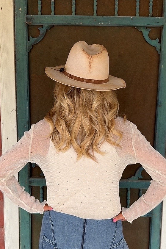 Sheer Luxe Cream Blouse