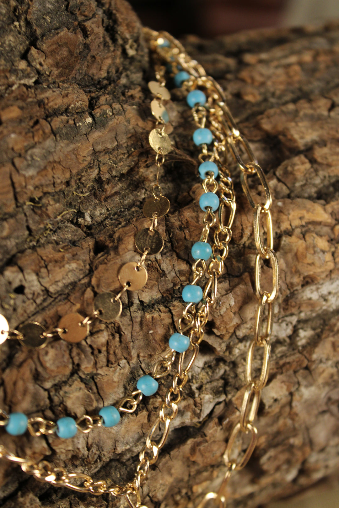 Gilded Frontier Charm Necklace