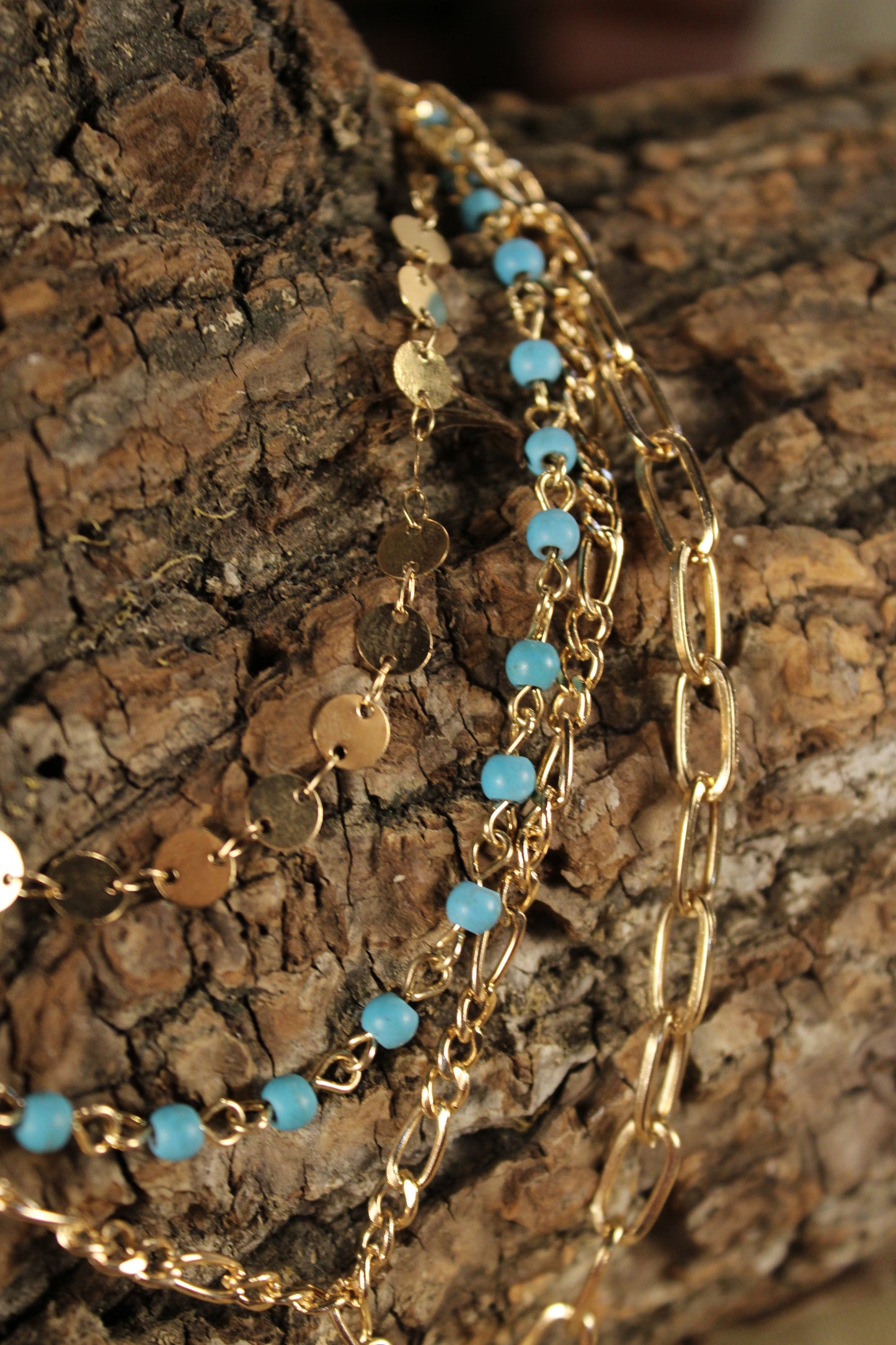 Gilded Frontier Charm Necklace