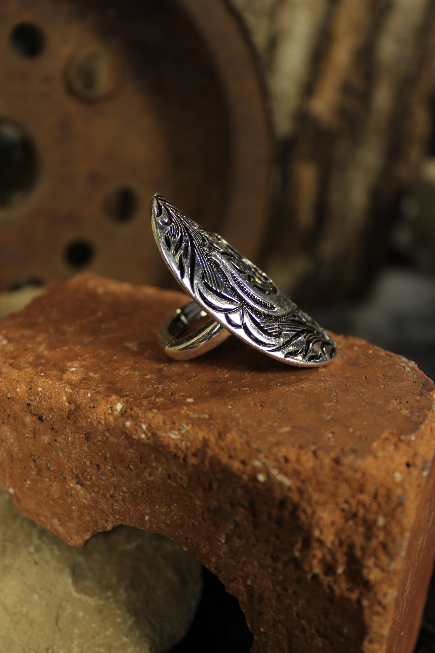 Lucky Charm Silver Ring