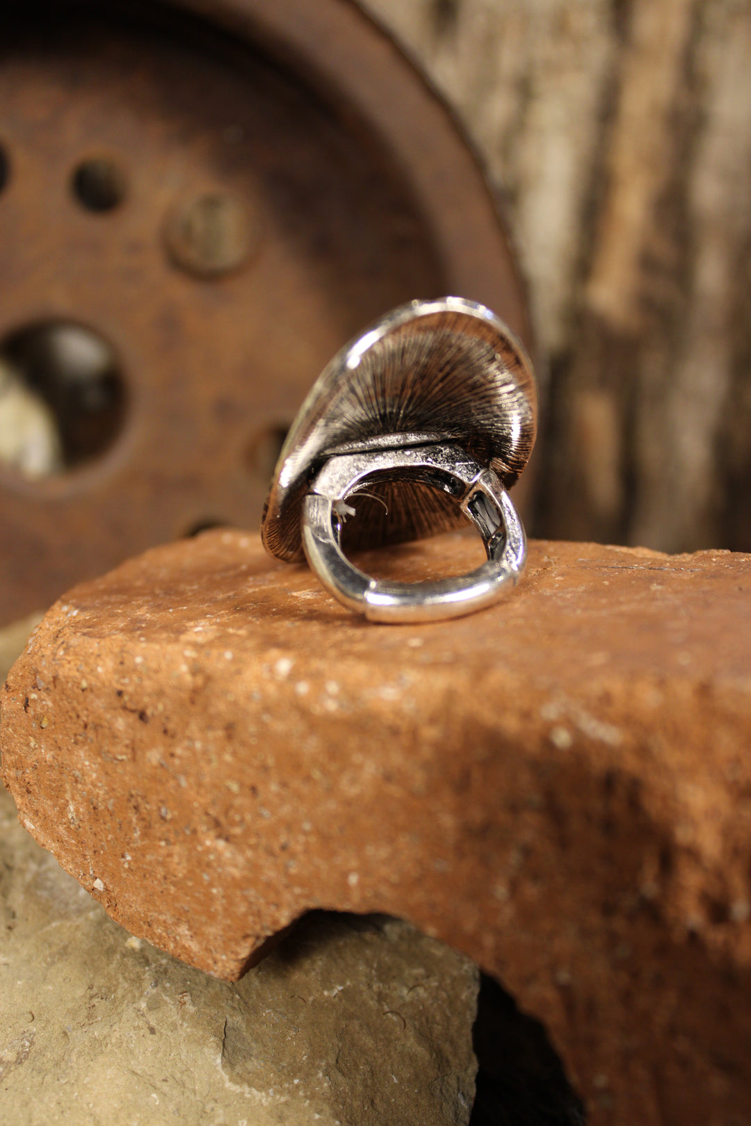 Lucky Charm Silver Ring
