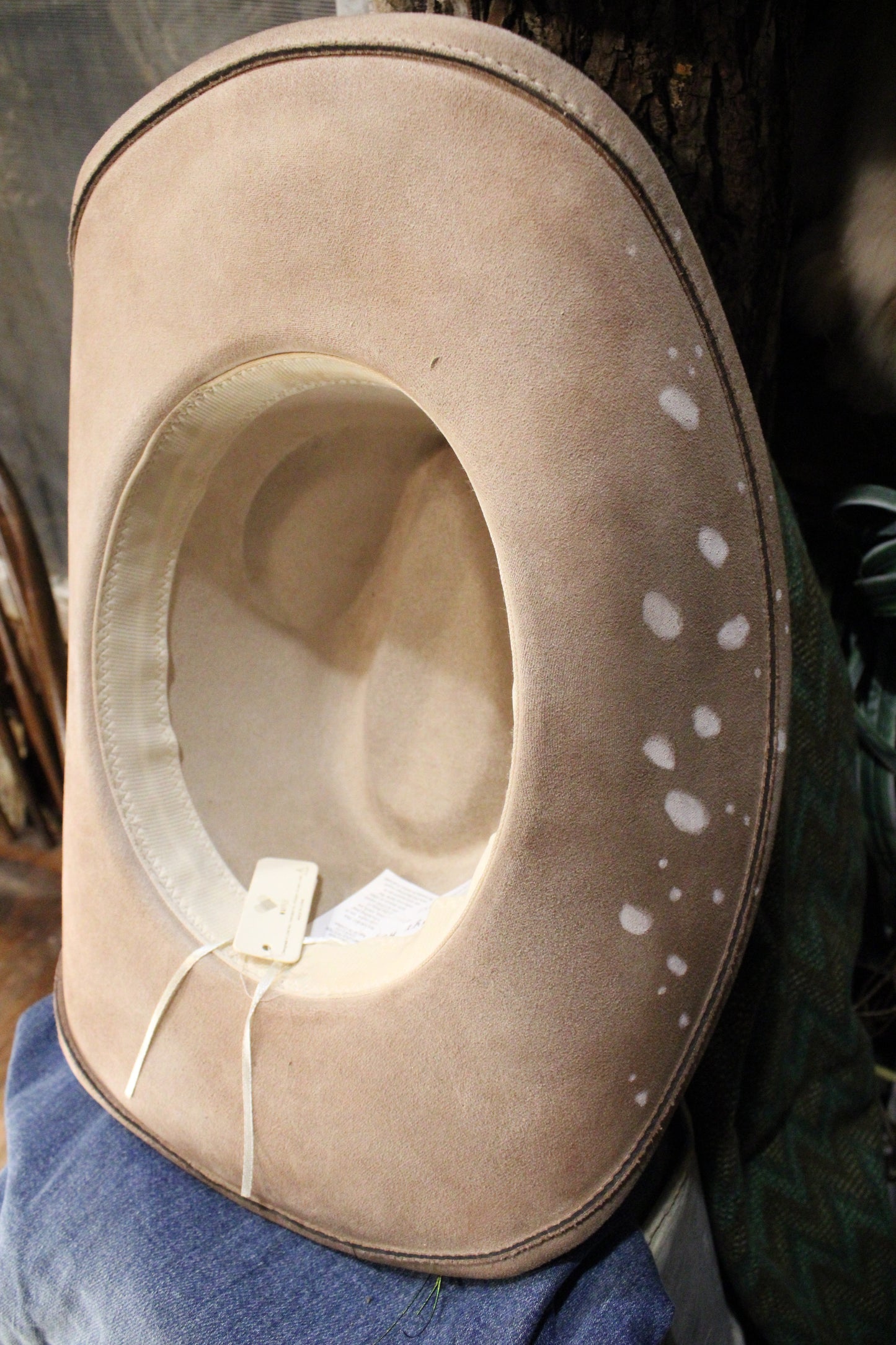 Desert Silk Feather Fedora