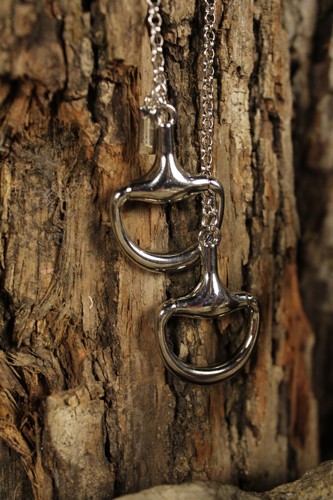 Silver Bridle Lariat Necklace