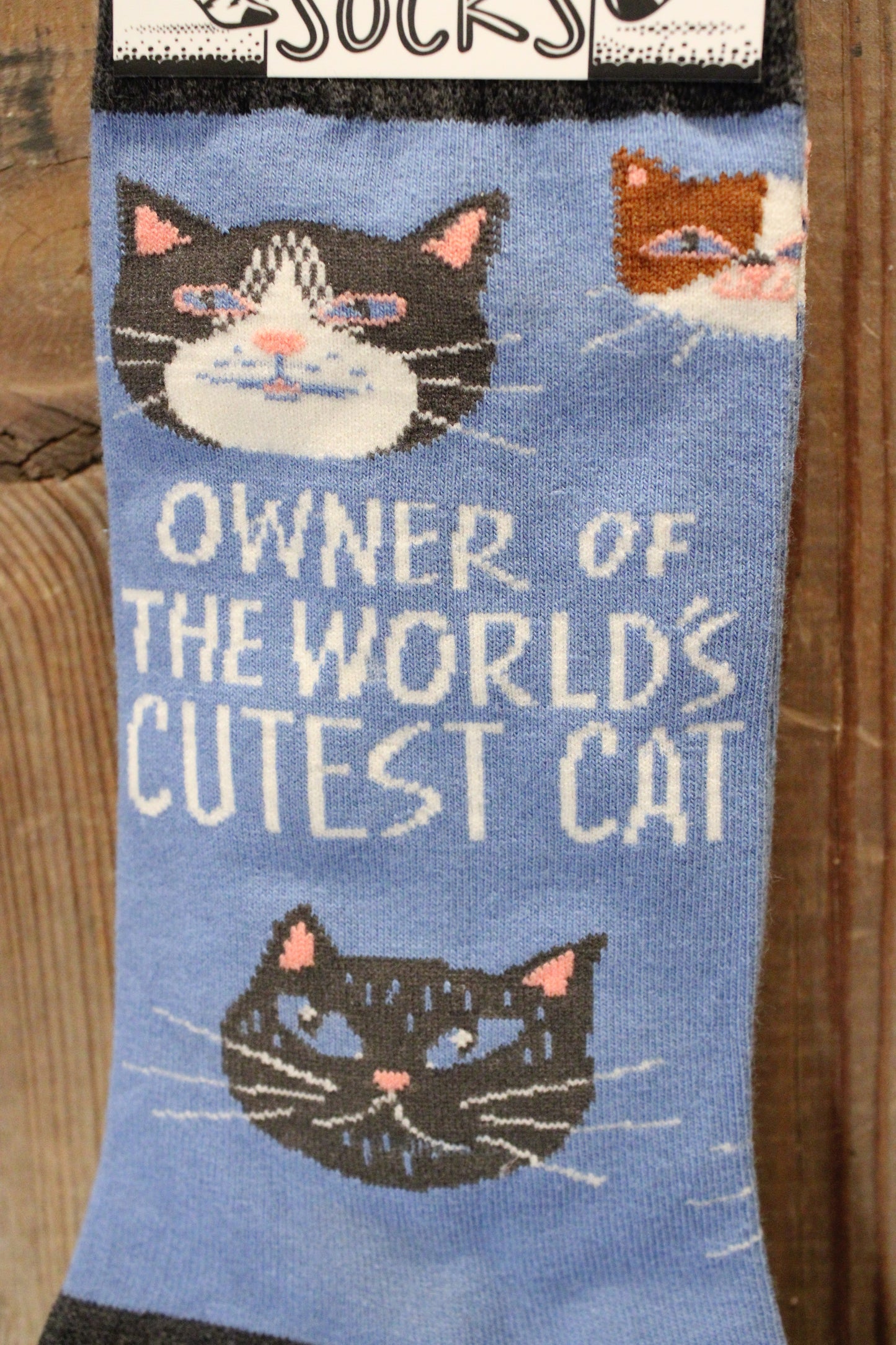 Owner Of The World's Cutest Cat Socks