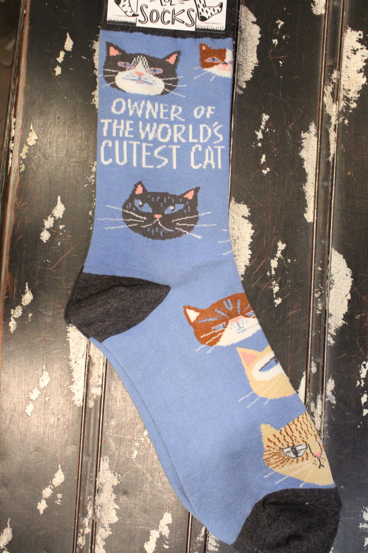 Owner Of The World's Cutest Cat Socks