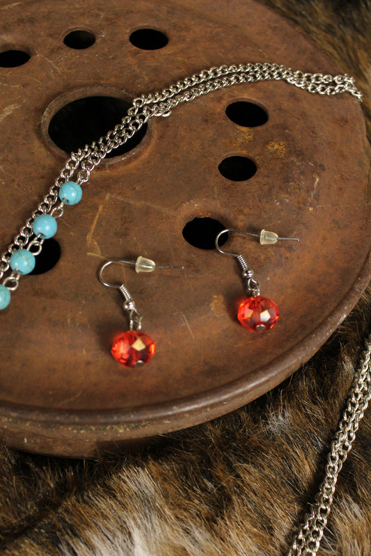 Painted Desert Daisy Earrings