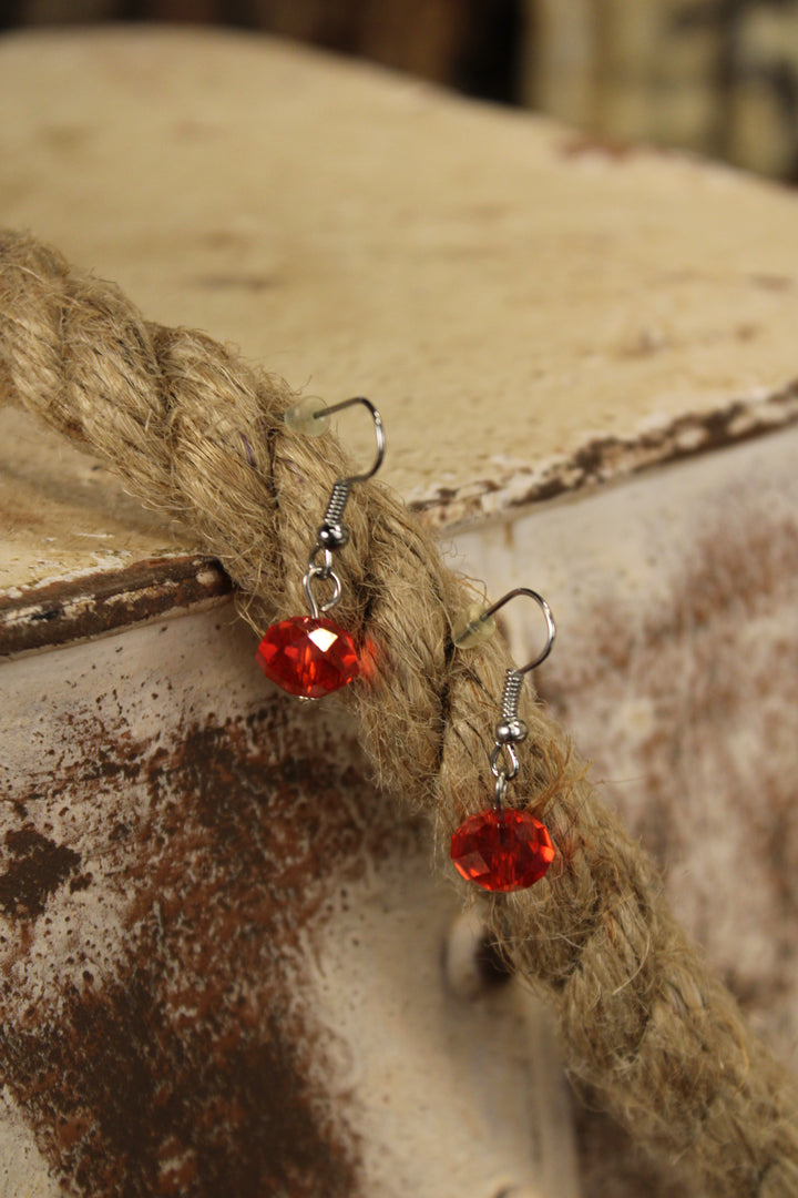 Painted Desert Daisy Earrings