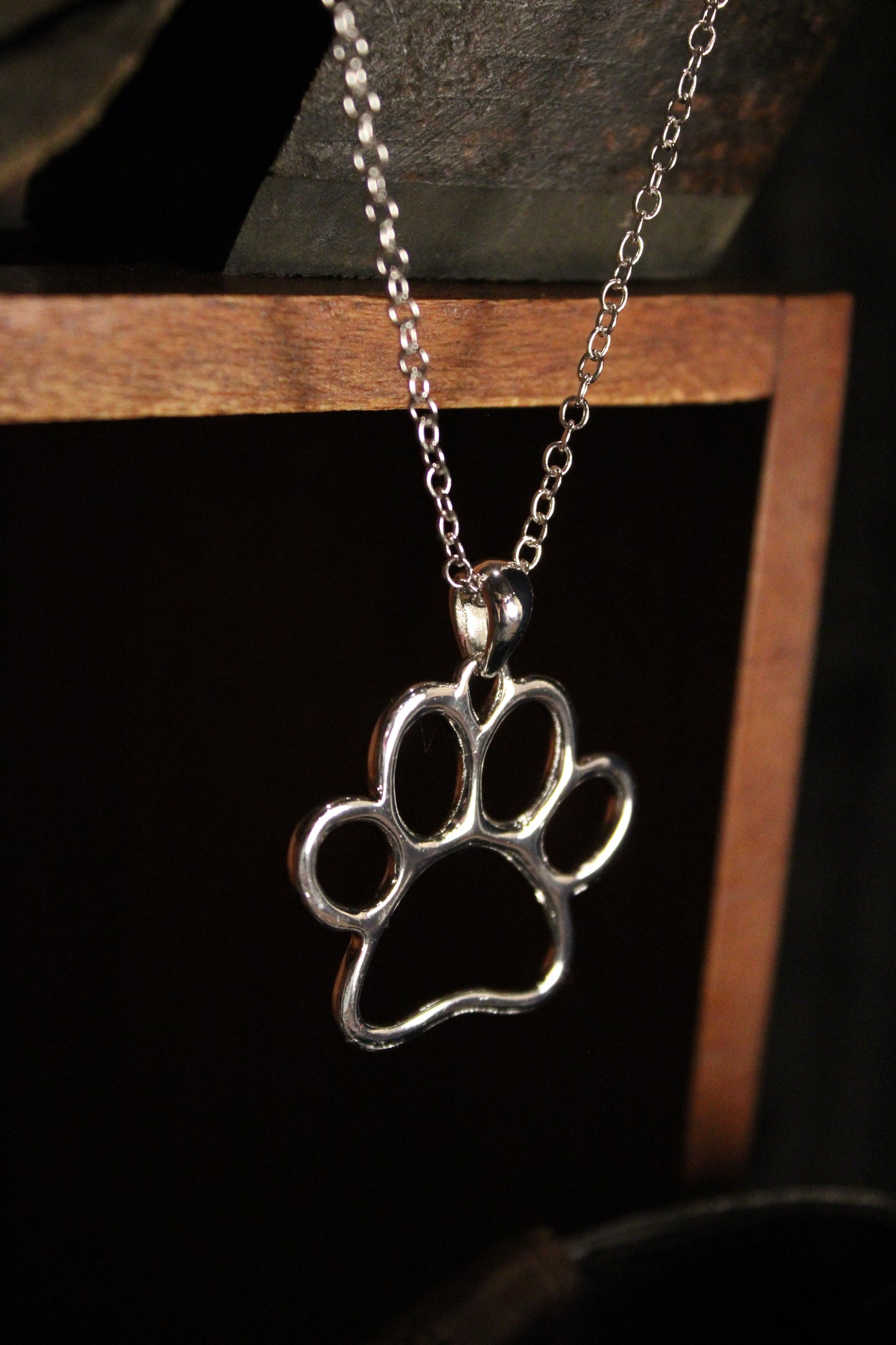 Silver Bandit Necklace