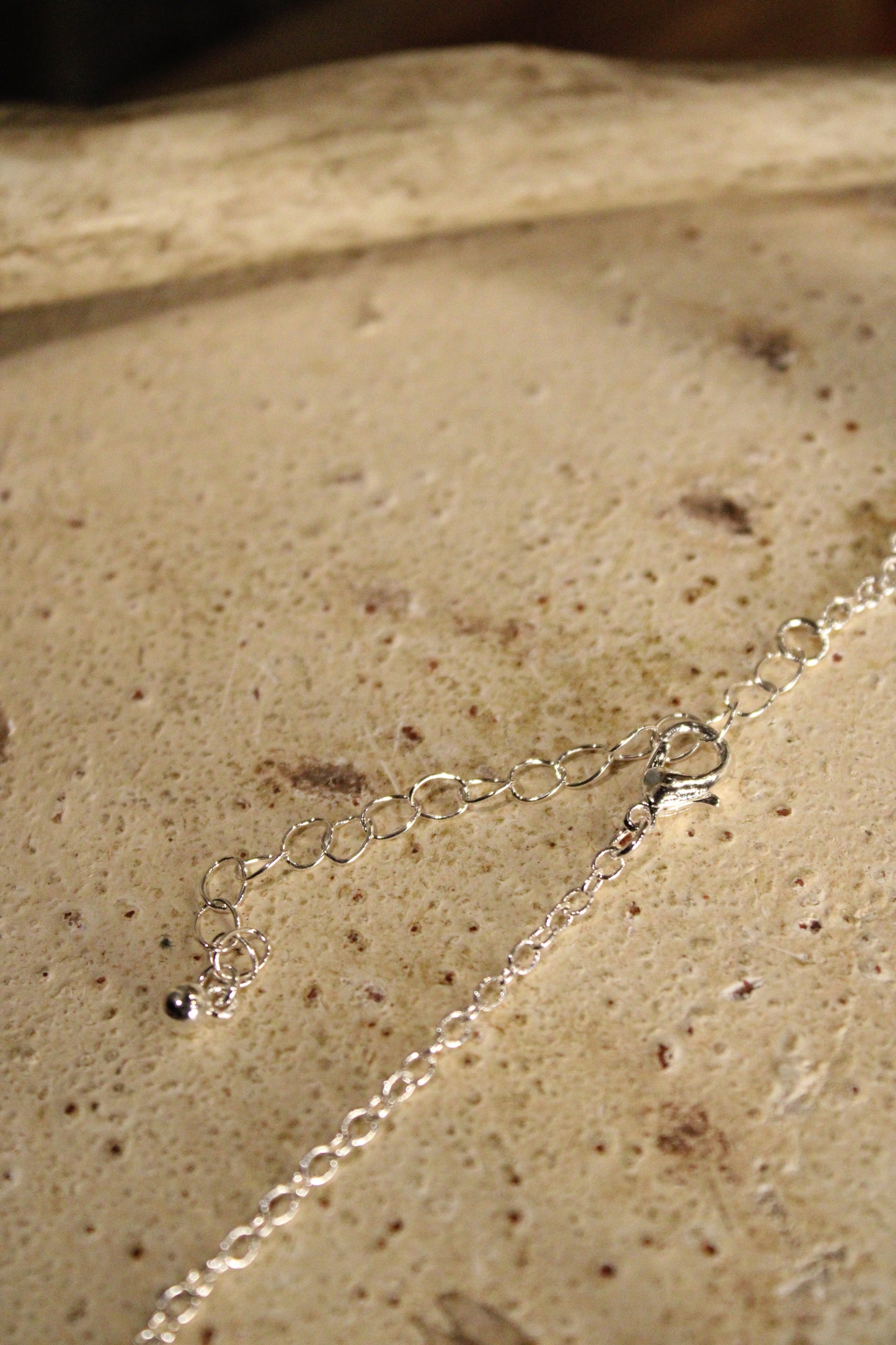 Silver Bandit Necklace