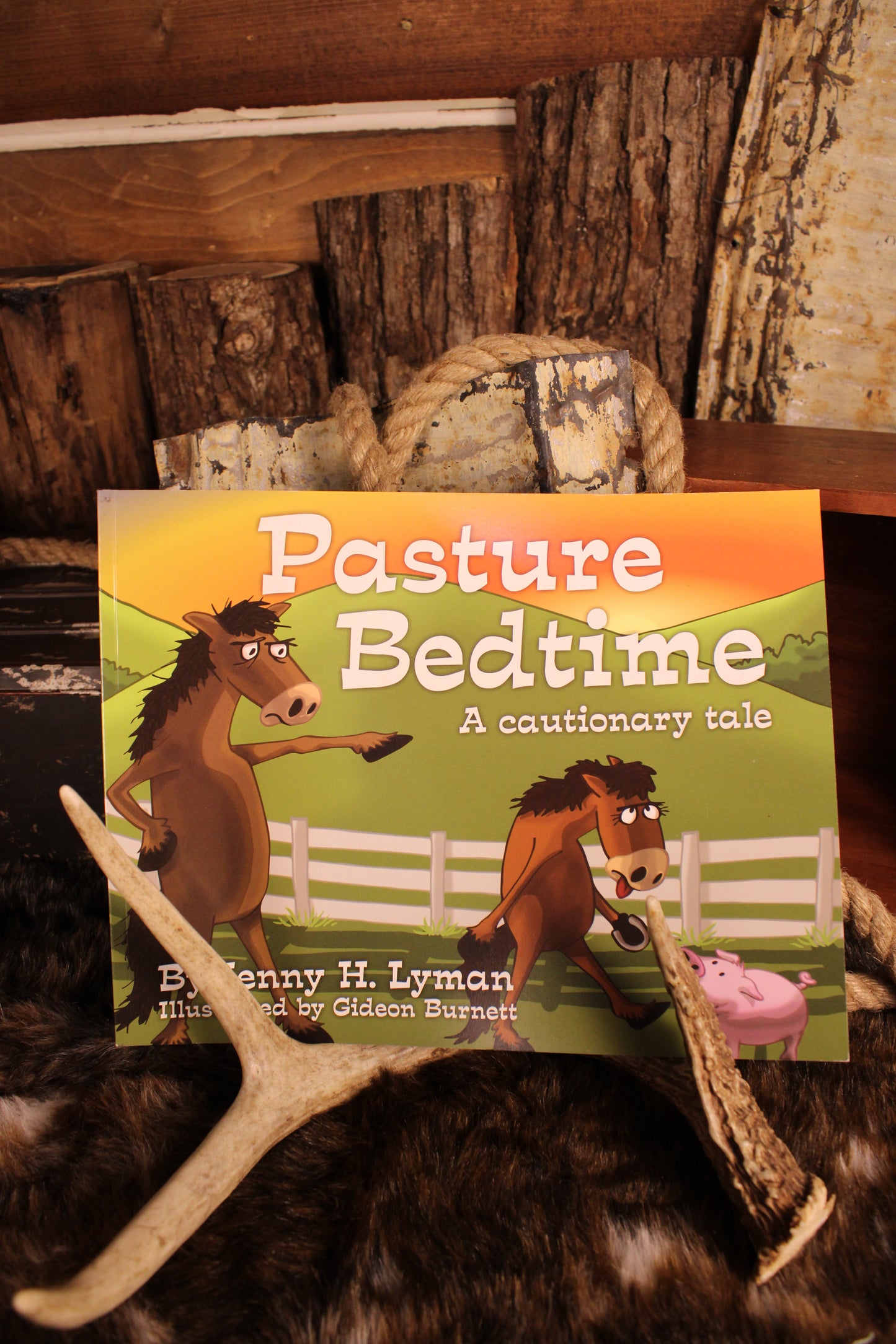 Pasture Bedtime Children's Book