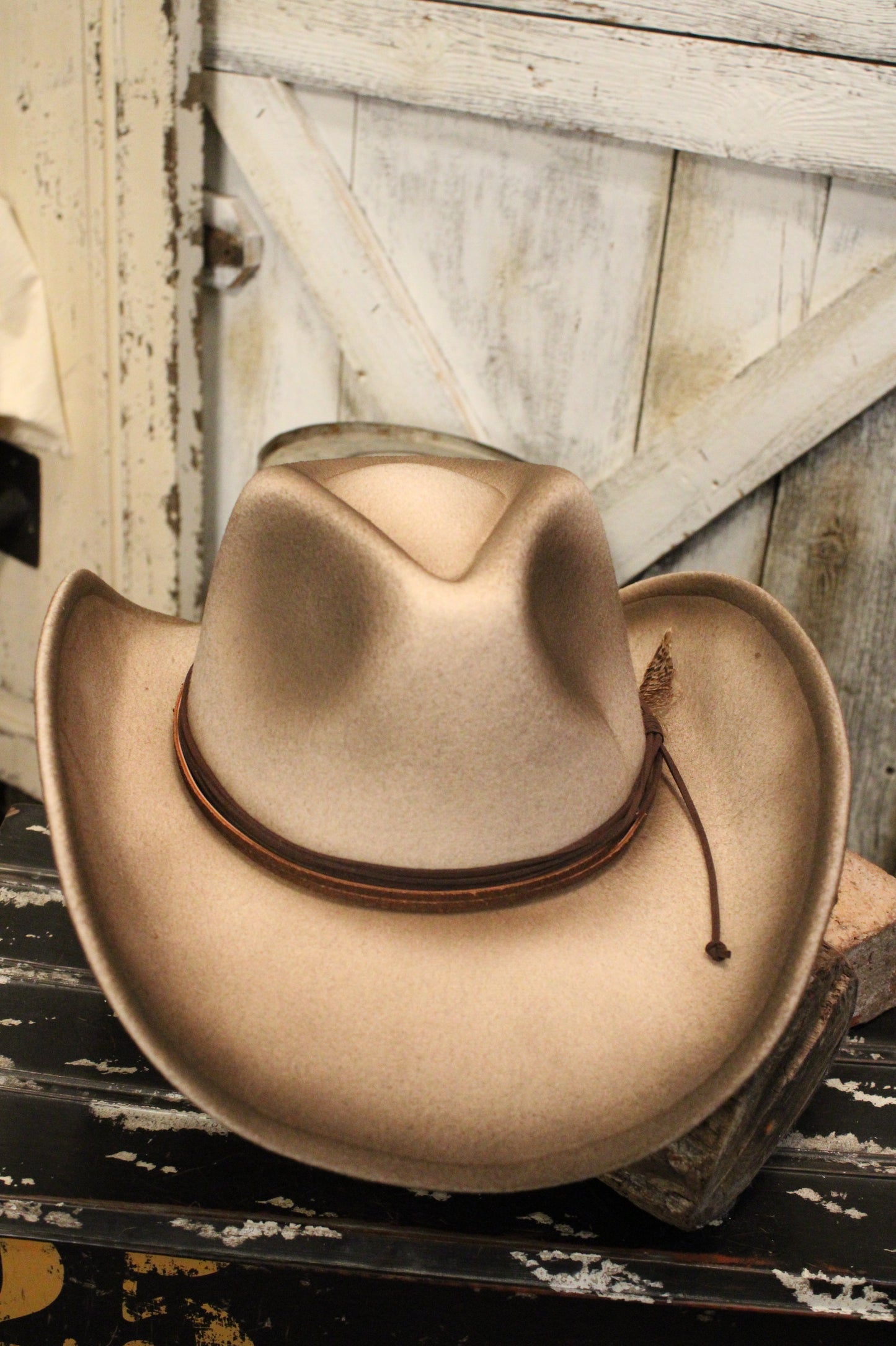 Frontier Feather Fedora