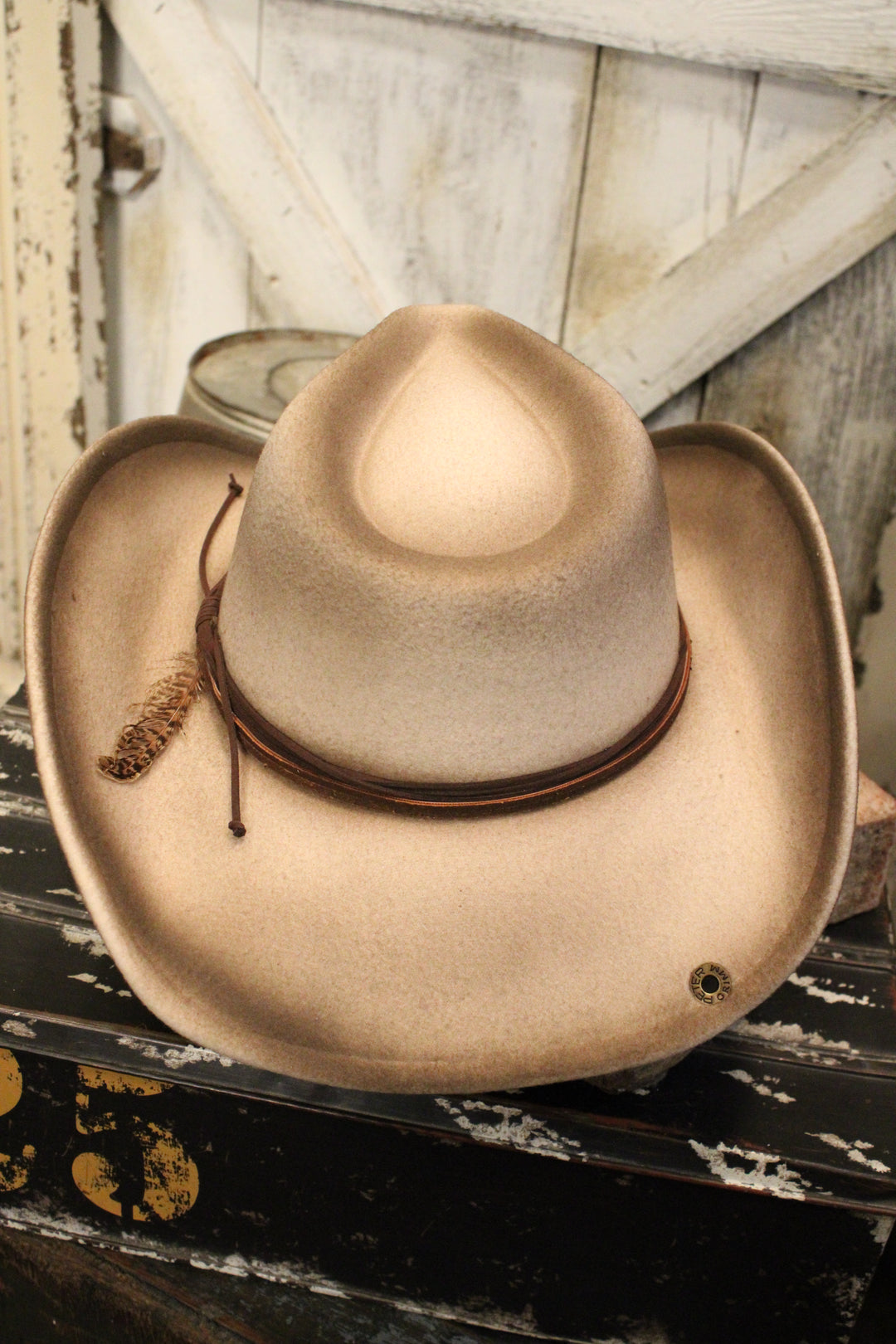 Frontier Feather Fedora
