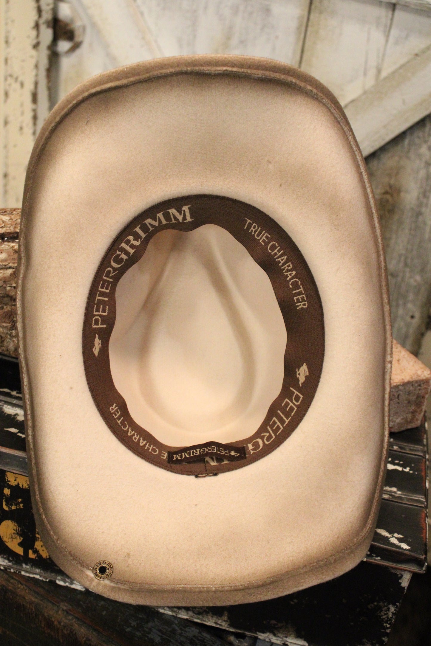 Frontier Feather Fedora