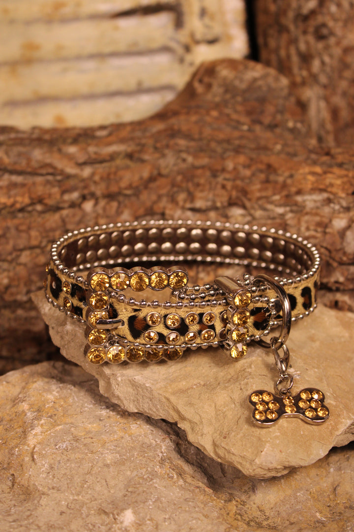 Safari Sparkle Pet Collar