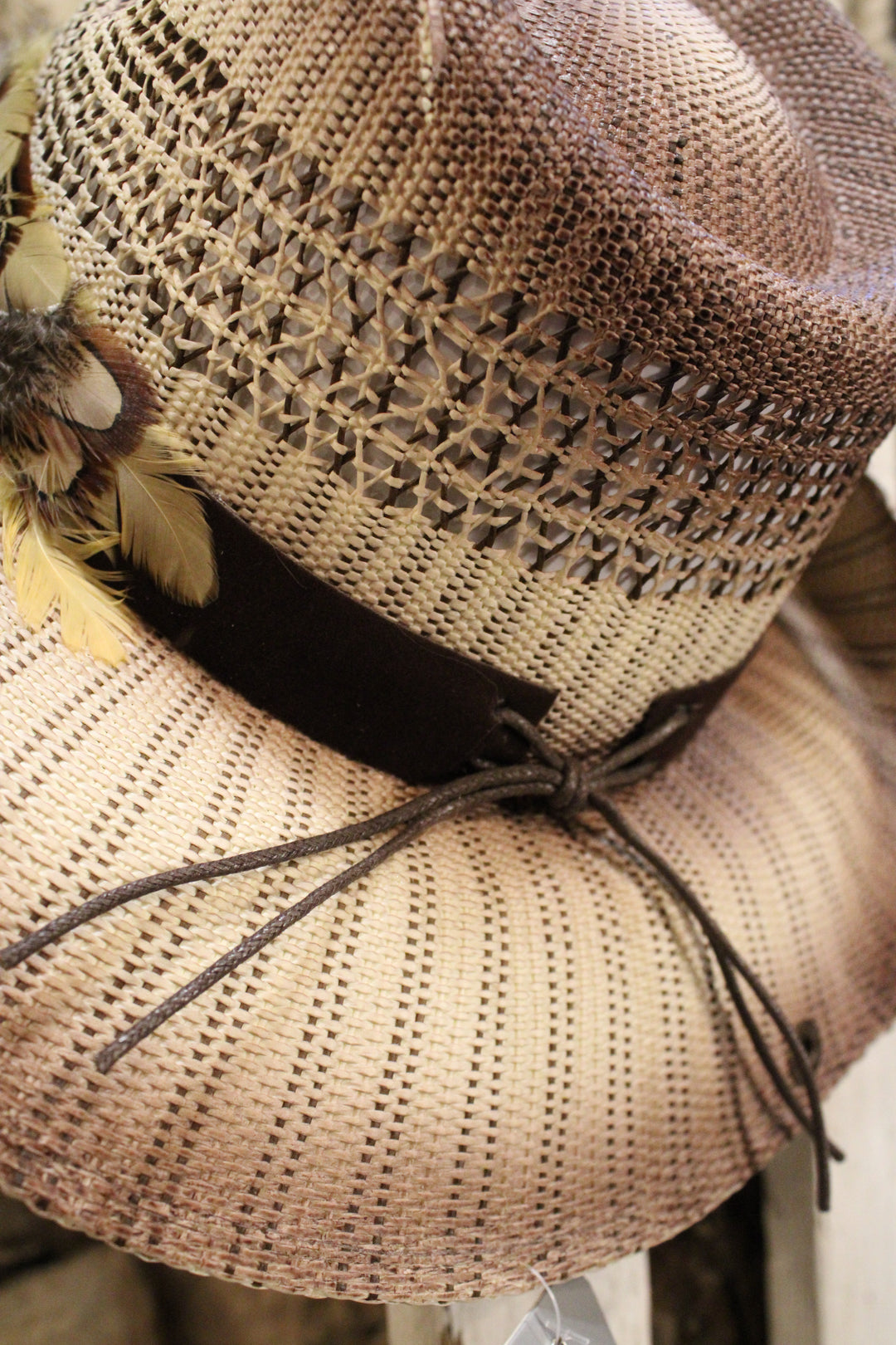 Wanderlust Feather Hat