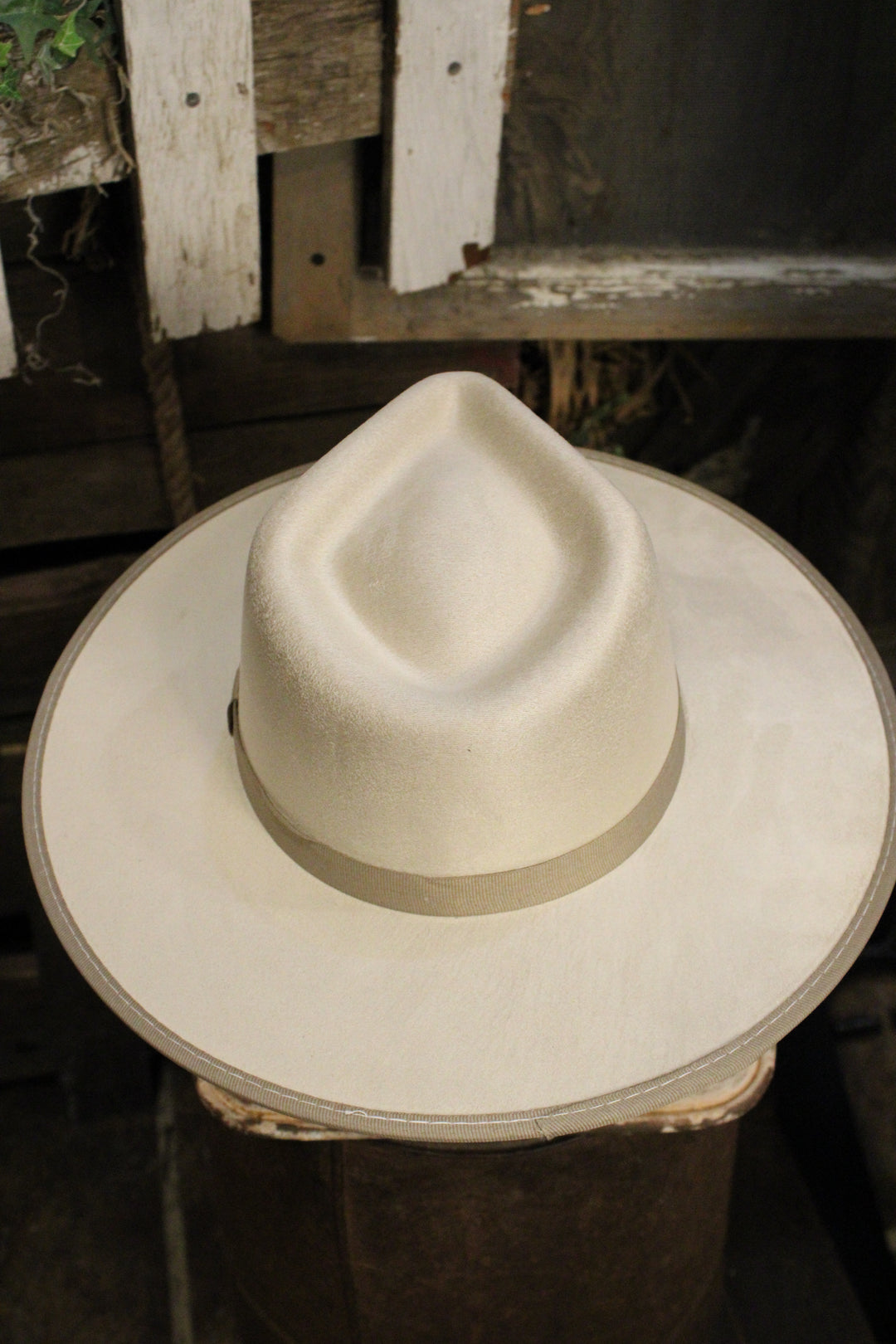 Melissa Wool Felt Wide Brim Hat