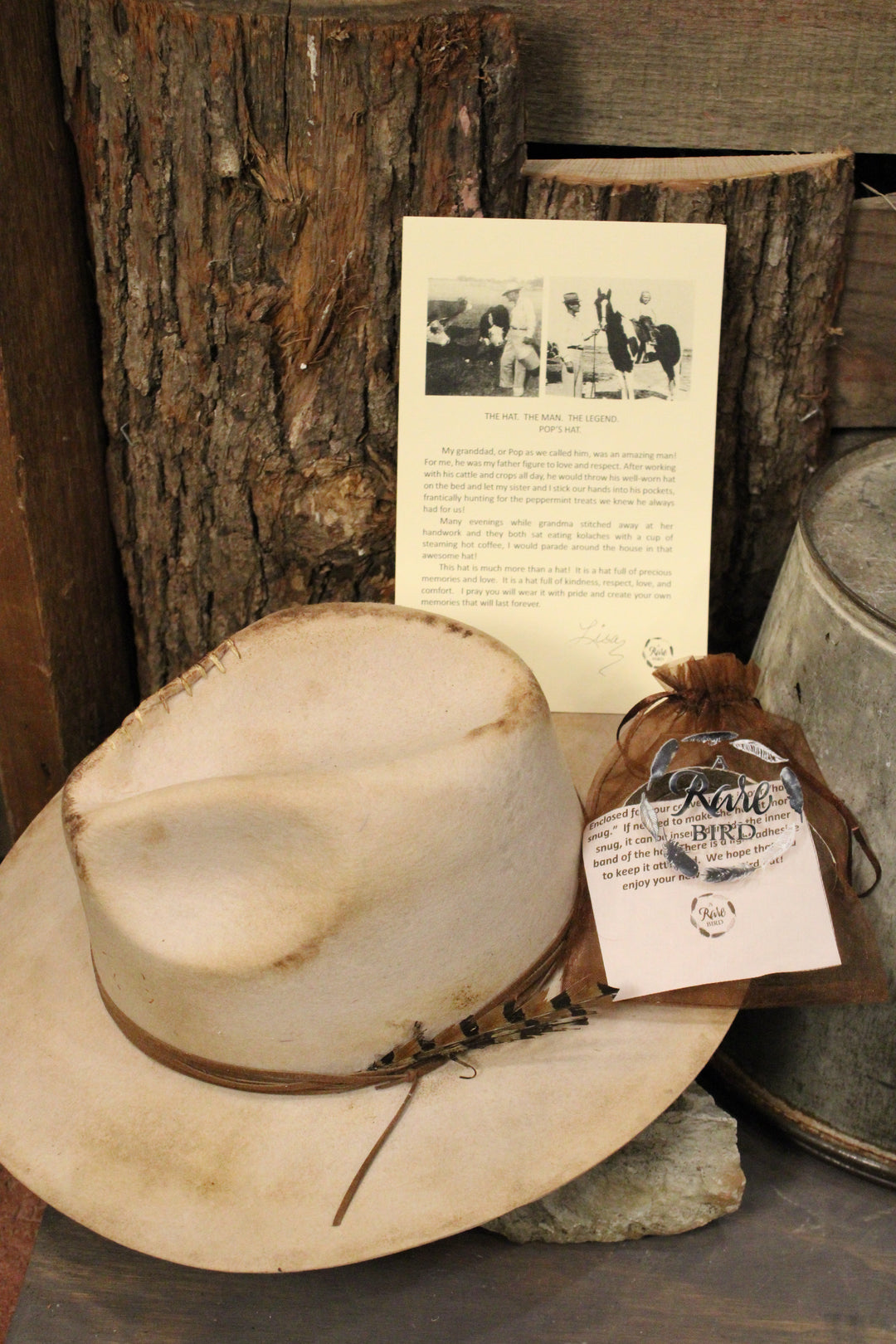 Dust And Feather Felt Fedora