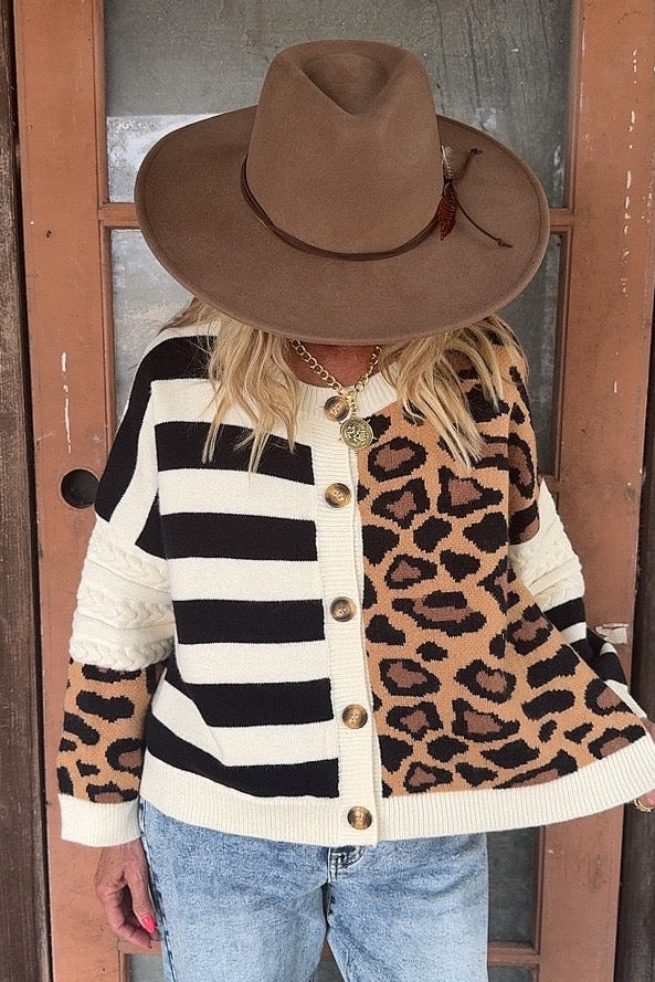 Wildly Chic Pullover