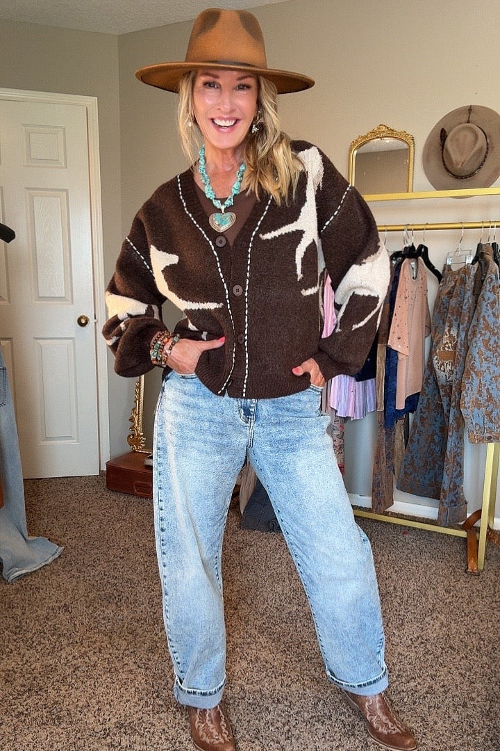 Chestnut Stallion Cardigan