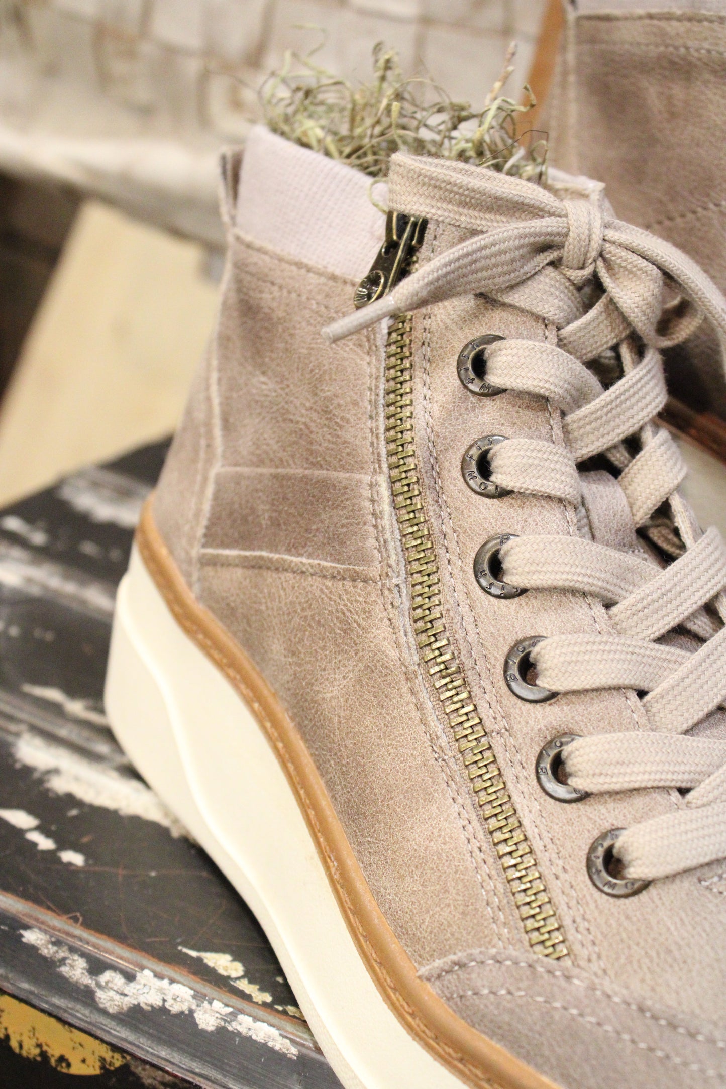 Camden Mushroom High Top Shoes