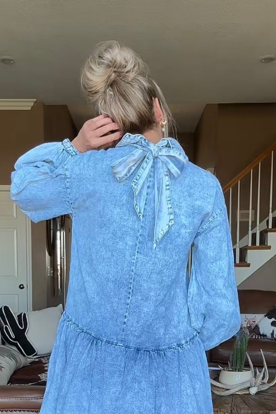 Sweet Meadow Romance Denim Dress