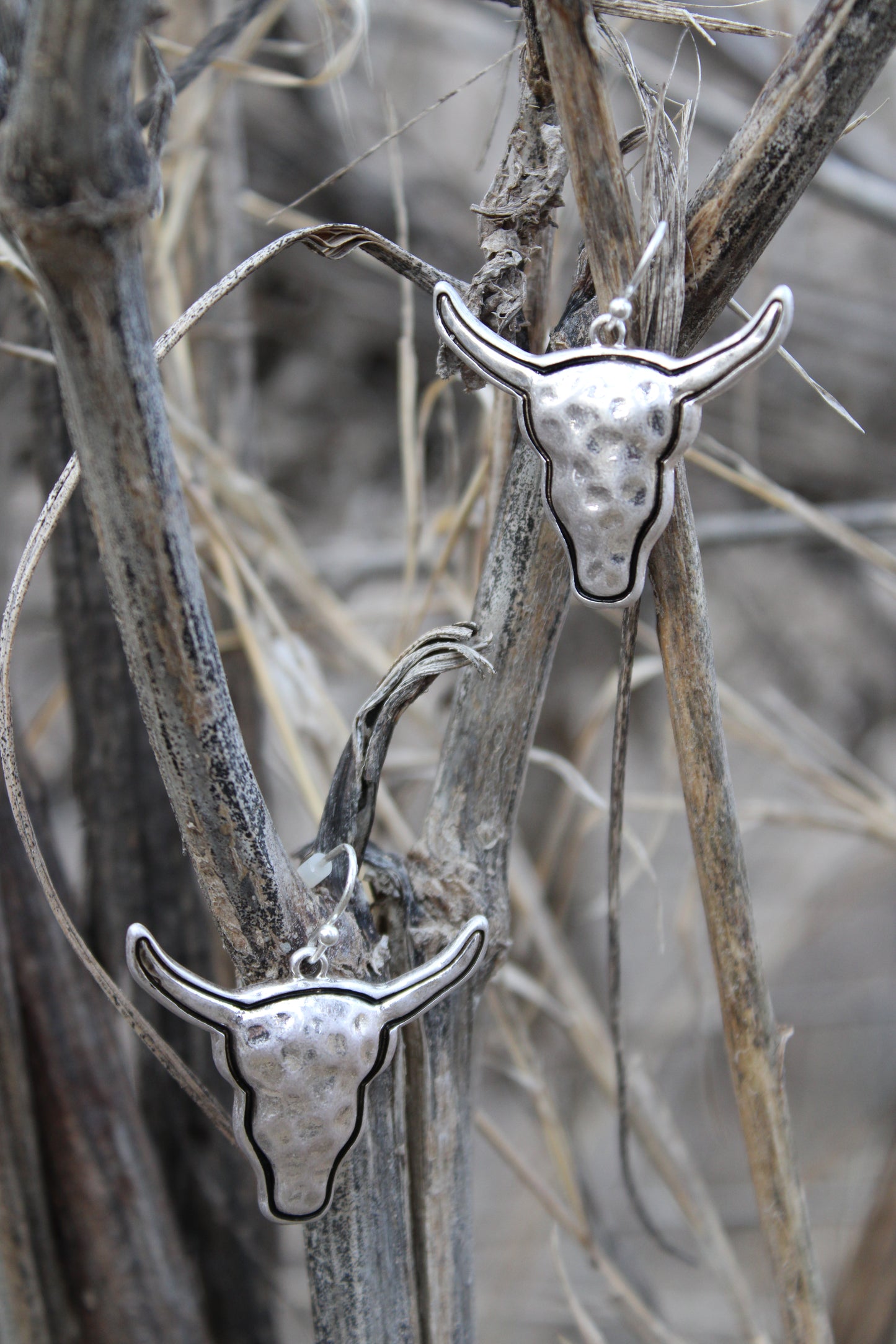 Polished Longhorn Earrings