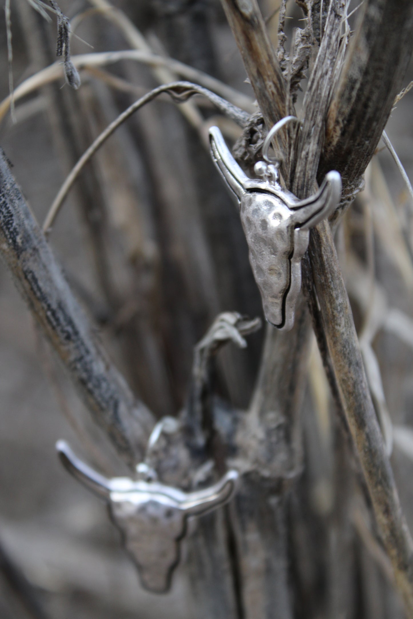Polished Longhorn Earrings